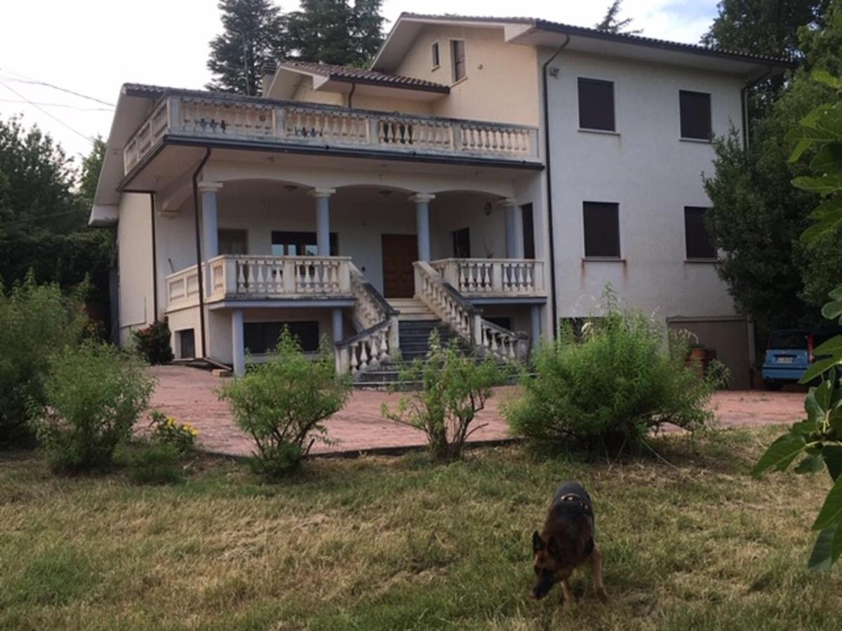 Villa di Nonno Remo photo 1