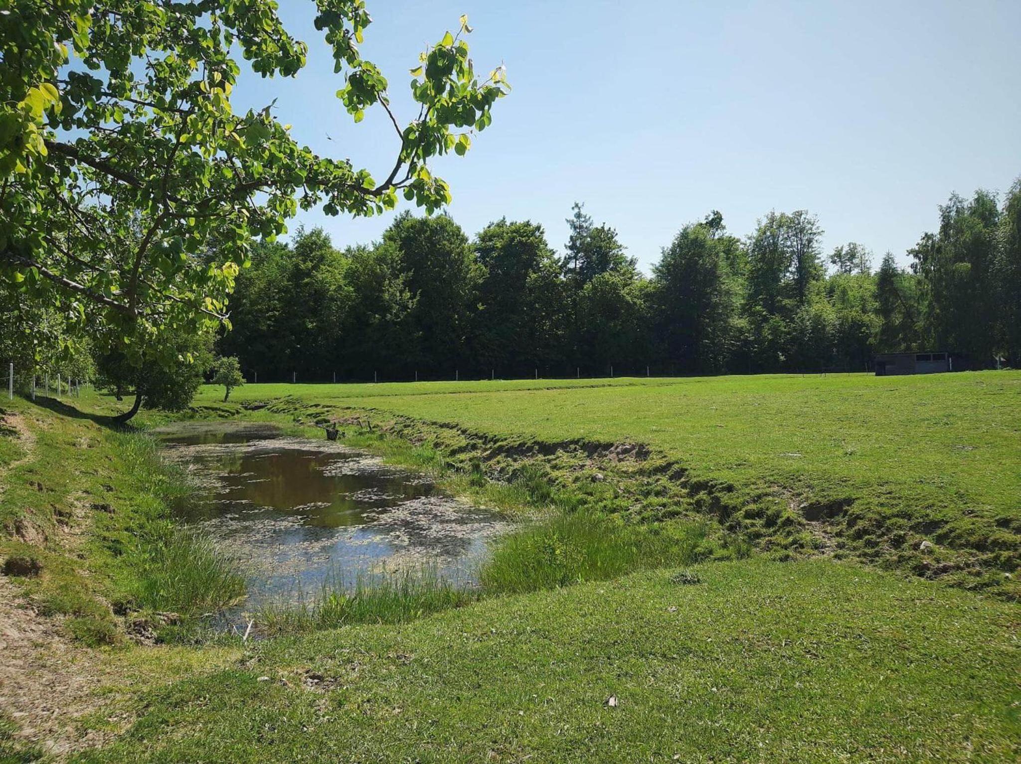 Ignatówka view 5
