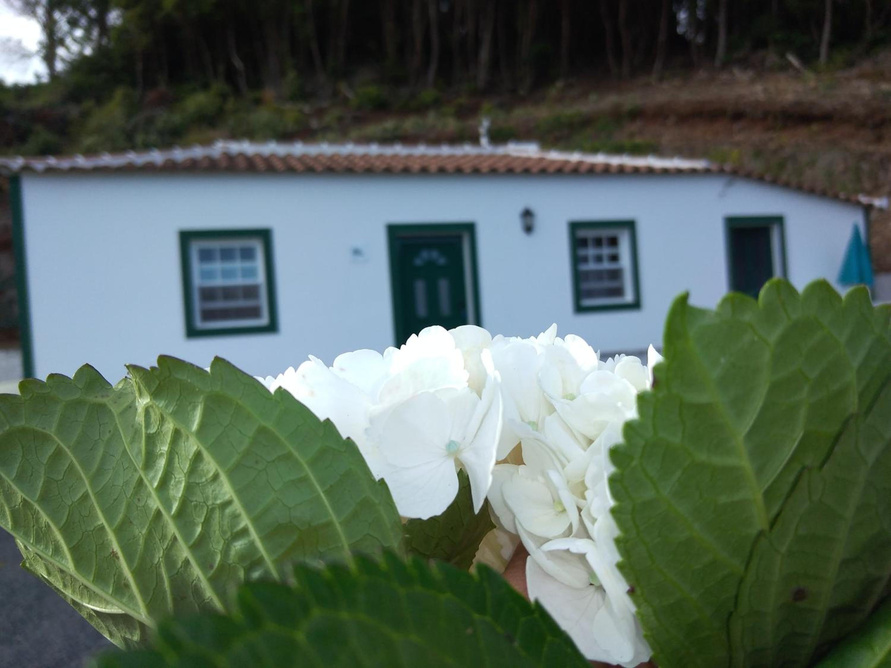 Casa dos Valentes