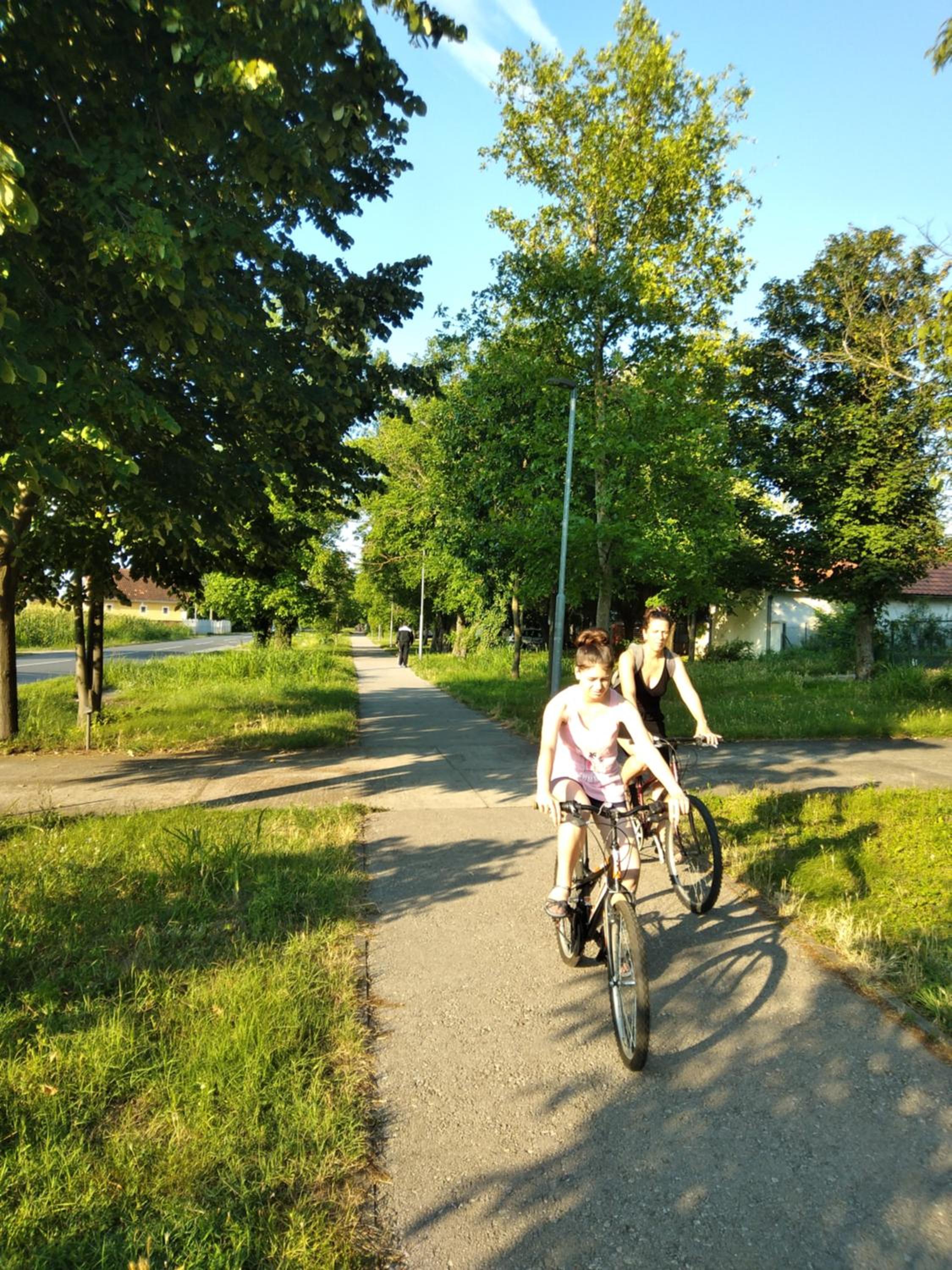 Photo 41