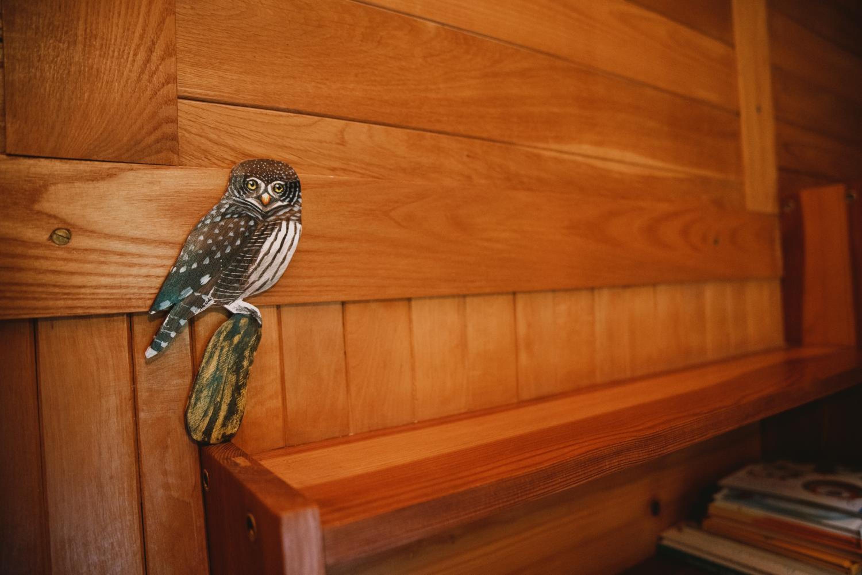 Photo 41