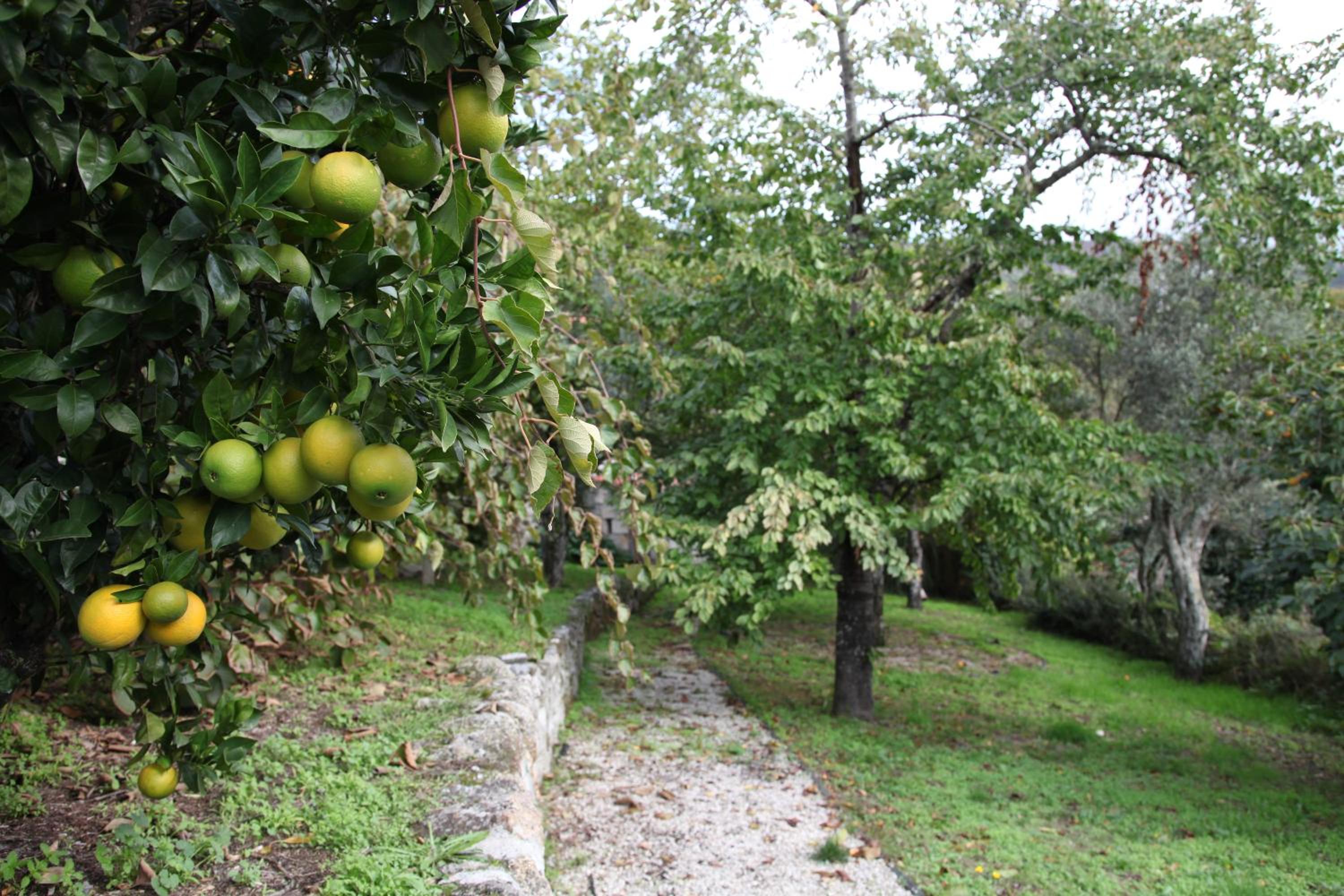 Casa Cardoso view 3