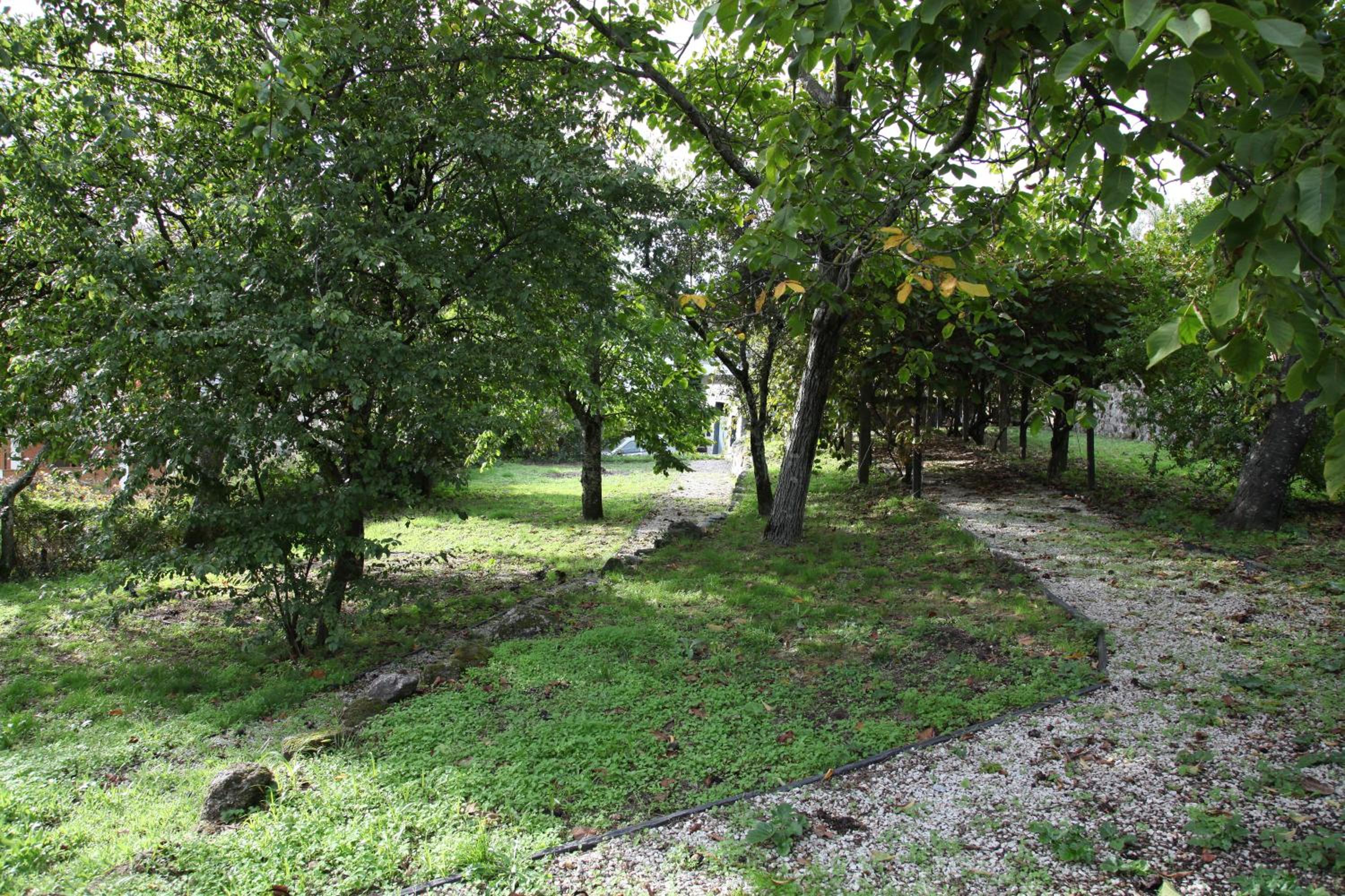 Casa Cardoso view 5