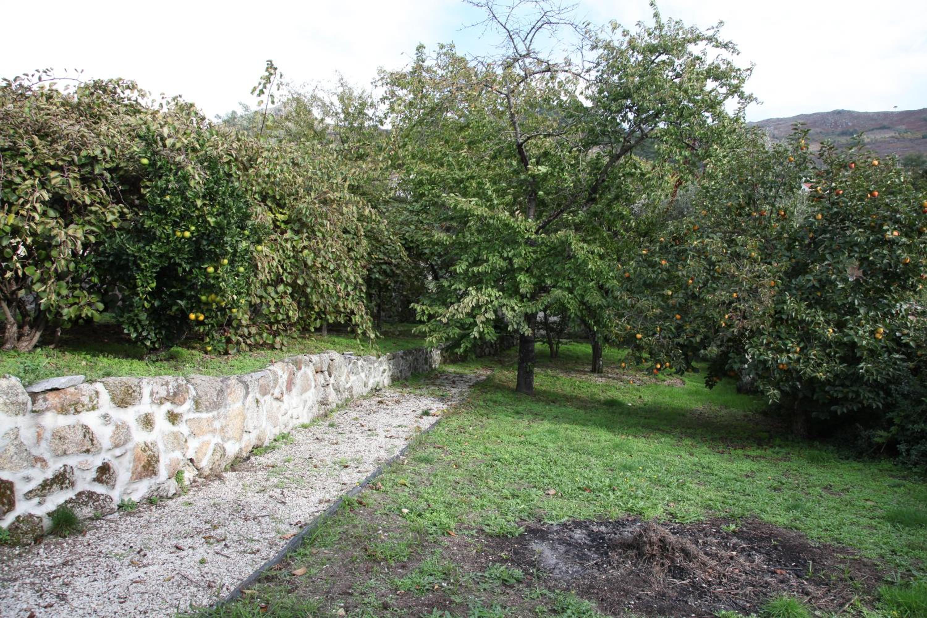 Casa Cardoso view 4