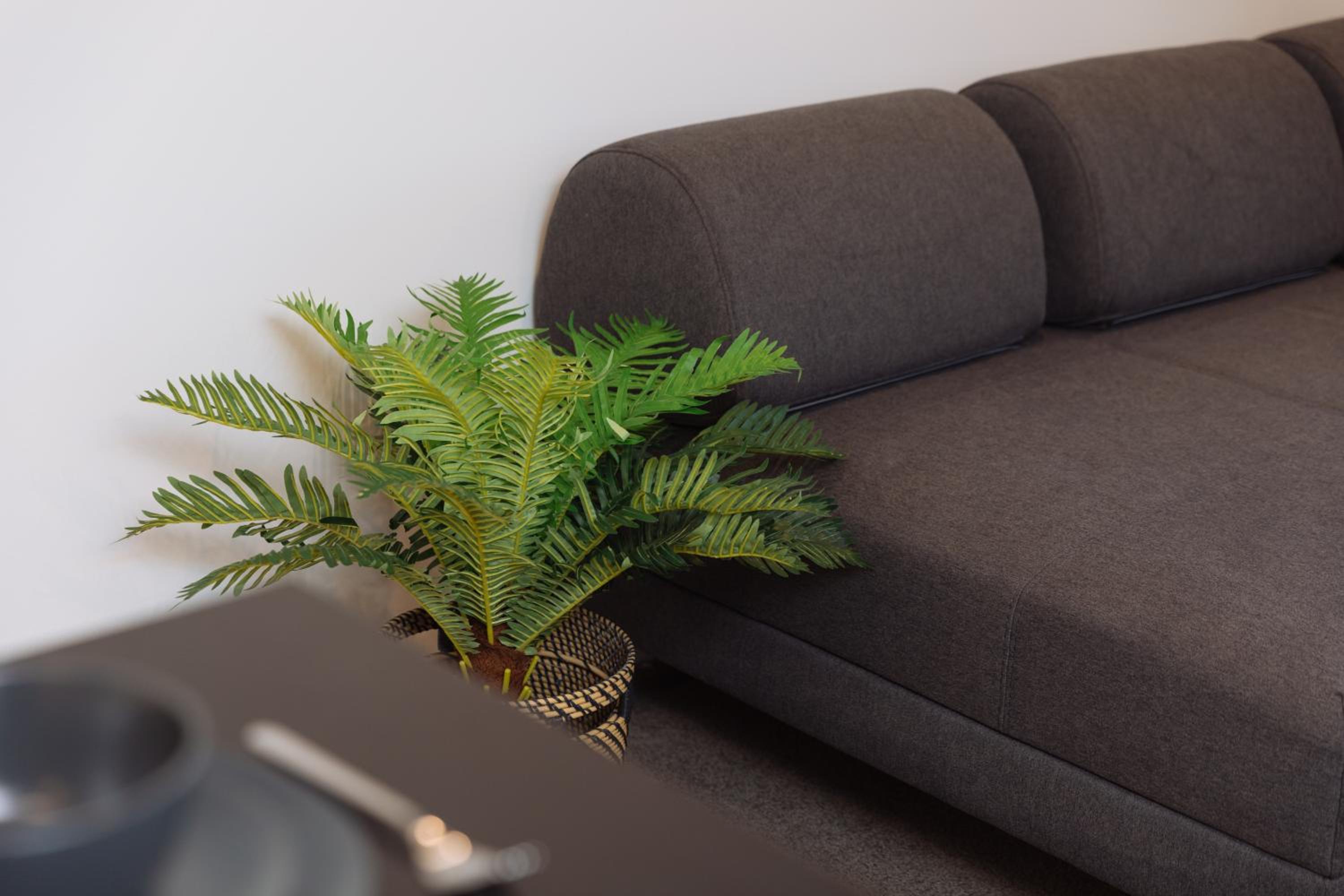 AirTrip Apartments at Woolloongabba