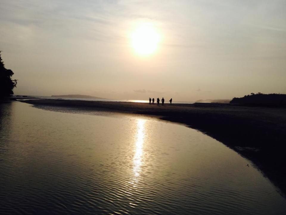 Photo 41