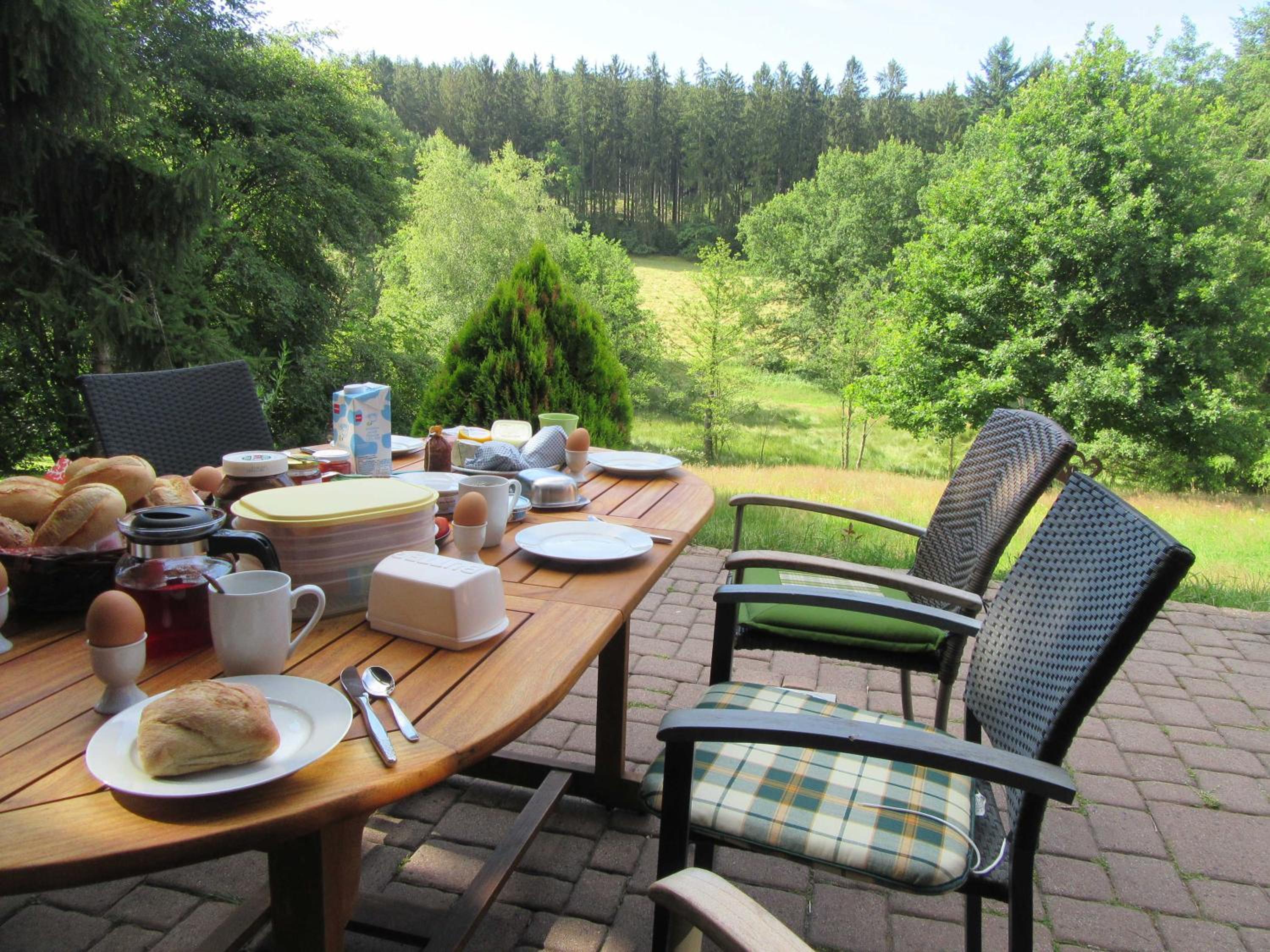 Ferienwohnungen Nibelungenwald view 4