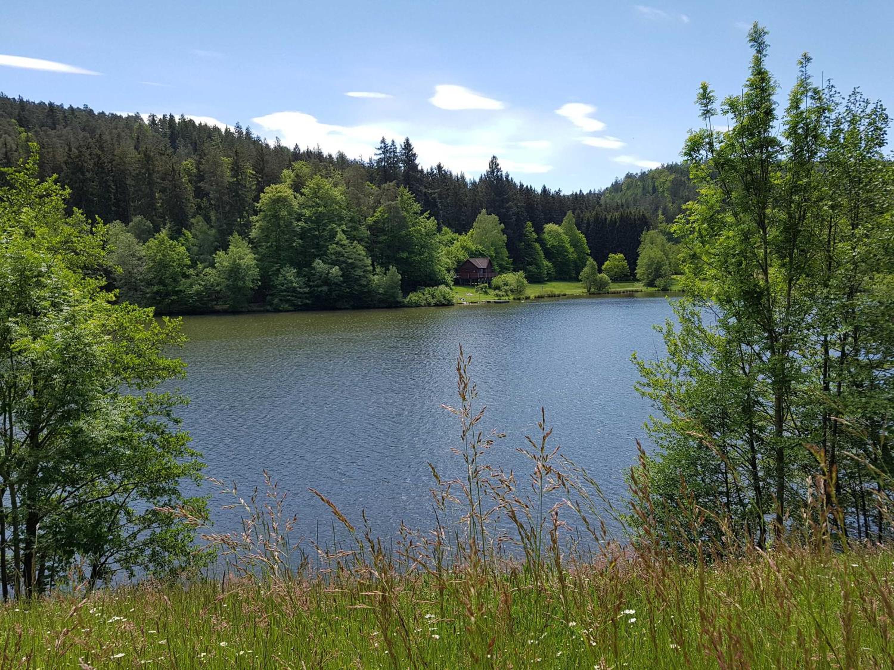Photo 26