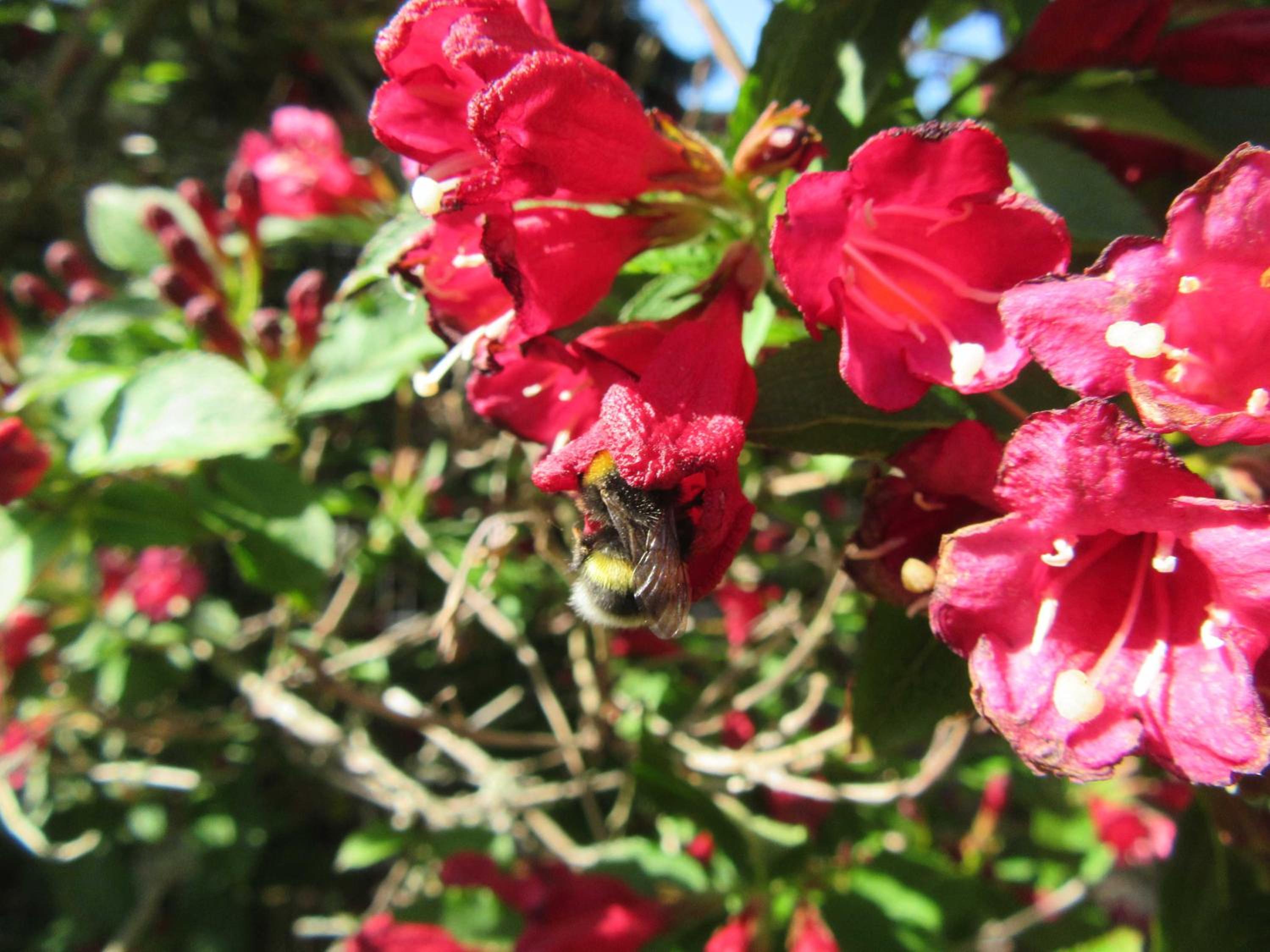 Photo 28