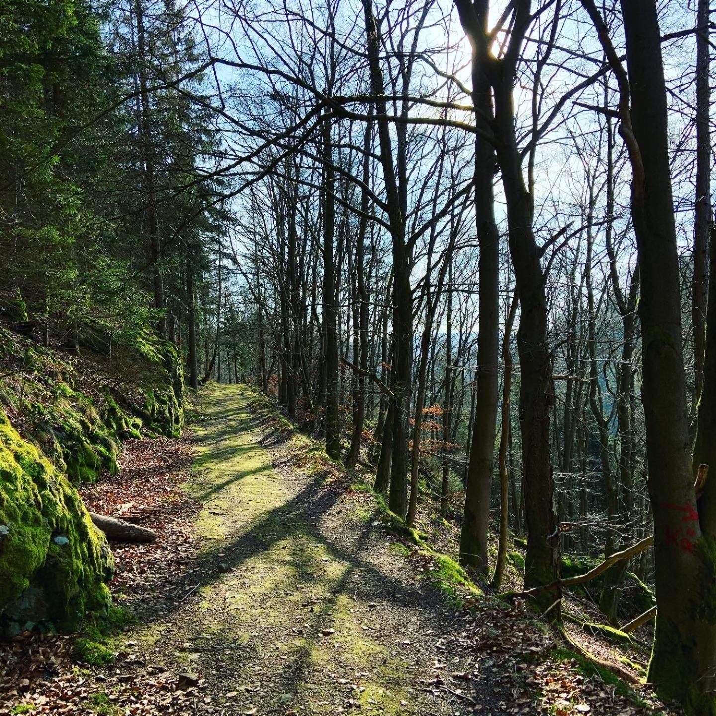 Ferienwohnung Frankenwald view 3