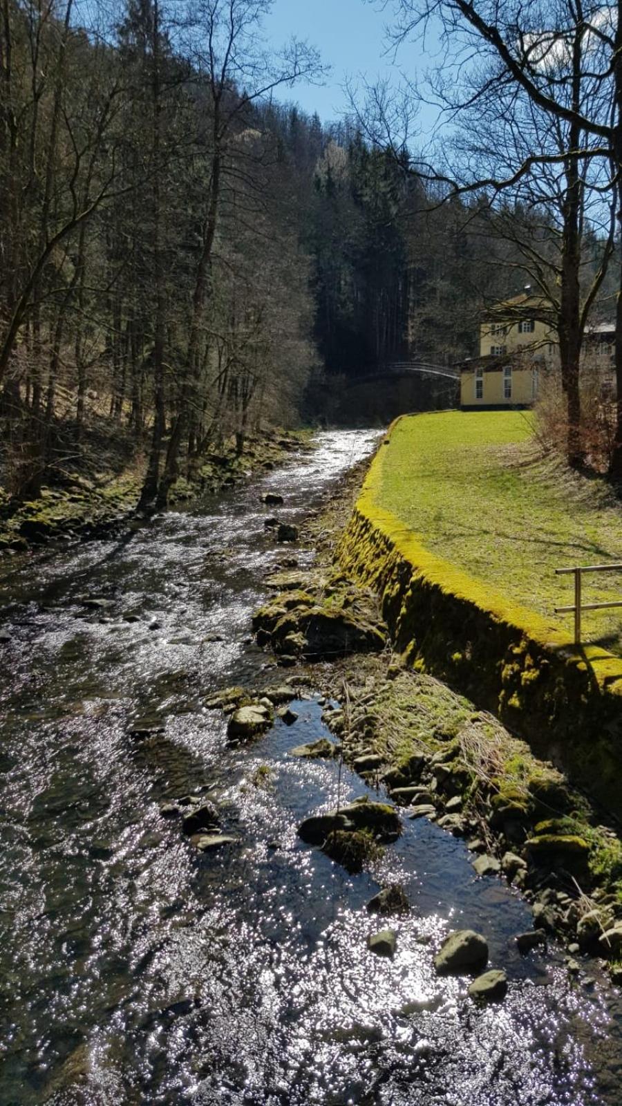 Ferienwohnung Frankenwald view 4