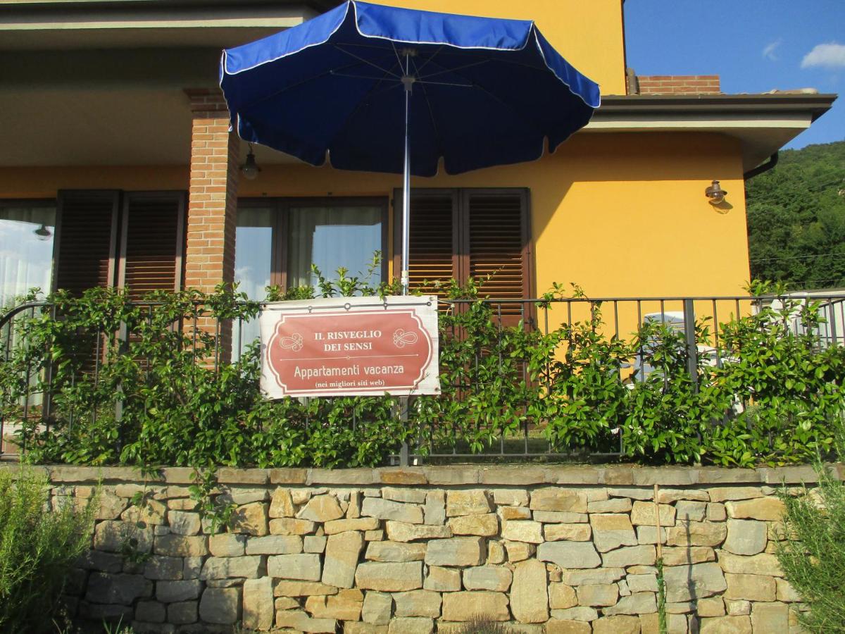 IL RISVEGLIO DEI SENSI (antisismica) photo 5