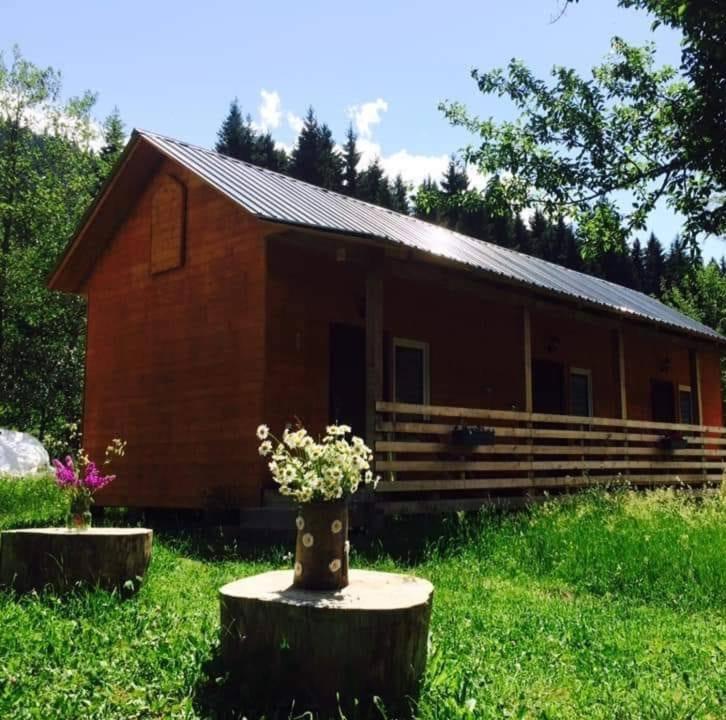 Cottage Shgedi view 4