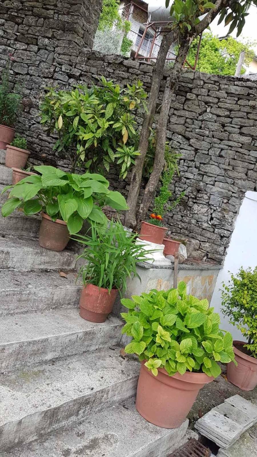 RIVA Guest House