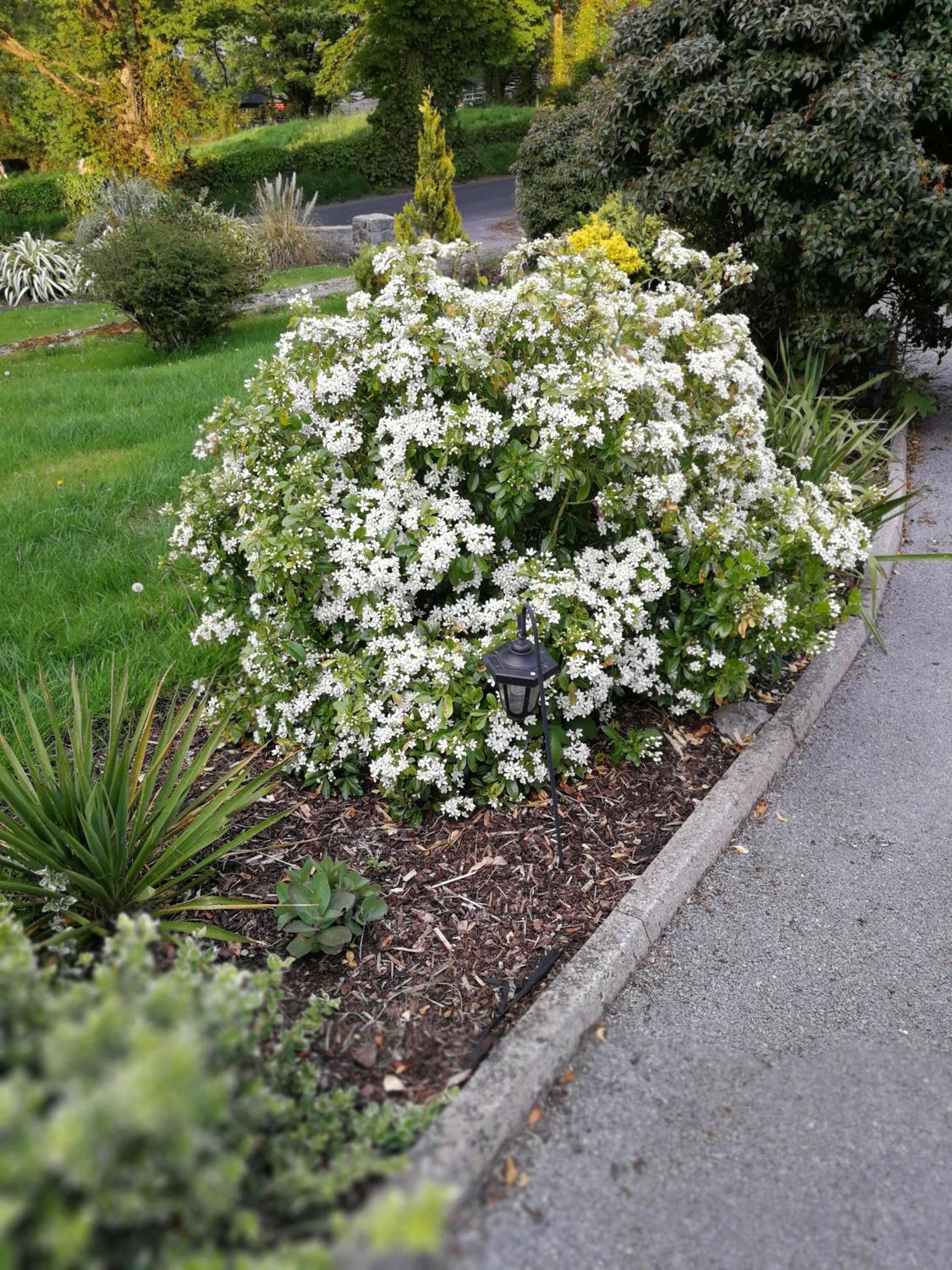 Photo 27