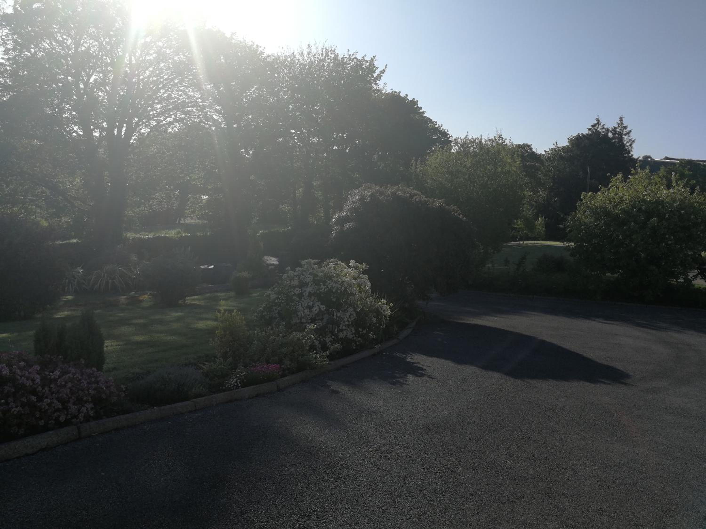 Photo 29