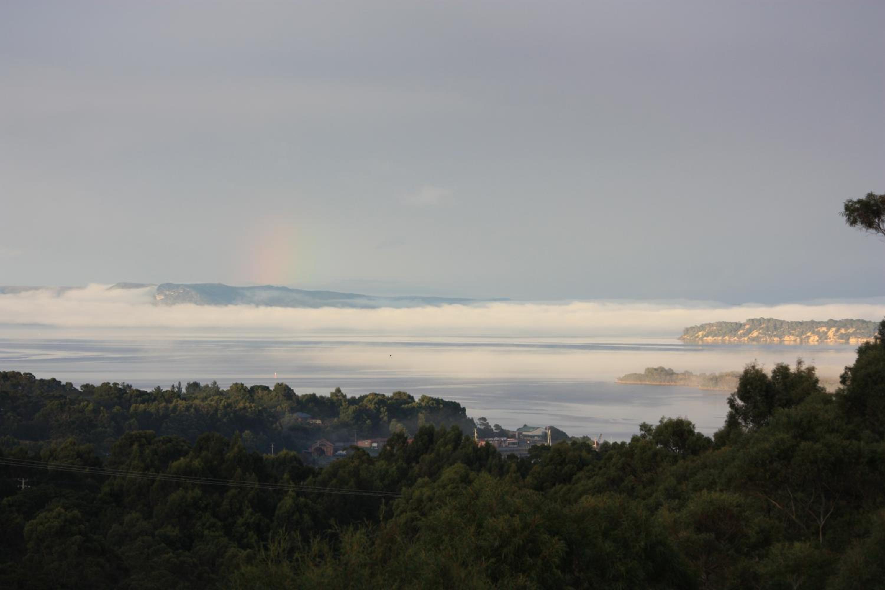 Harbour Lookout