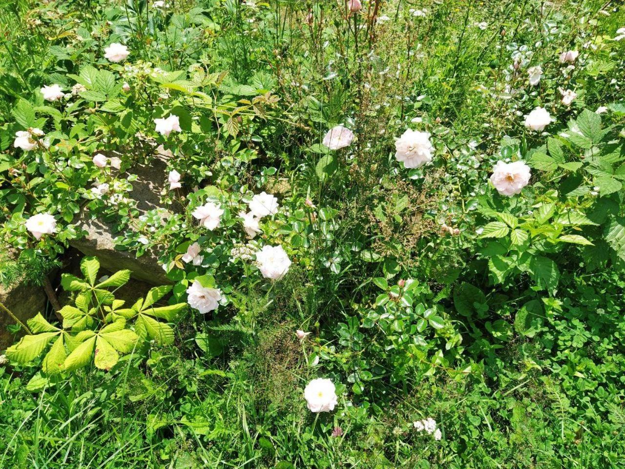 Photo 26