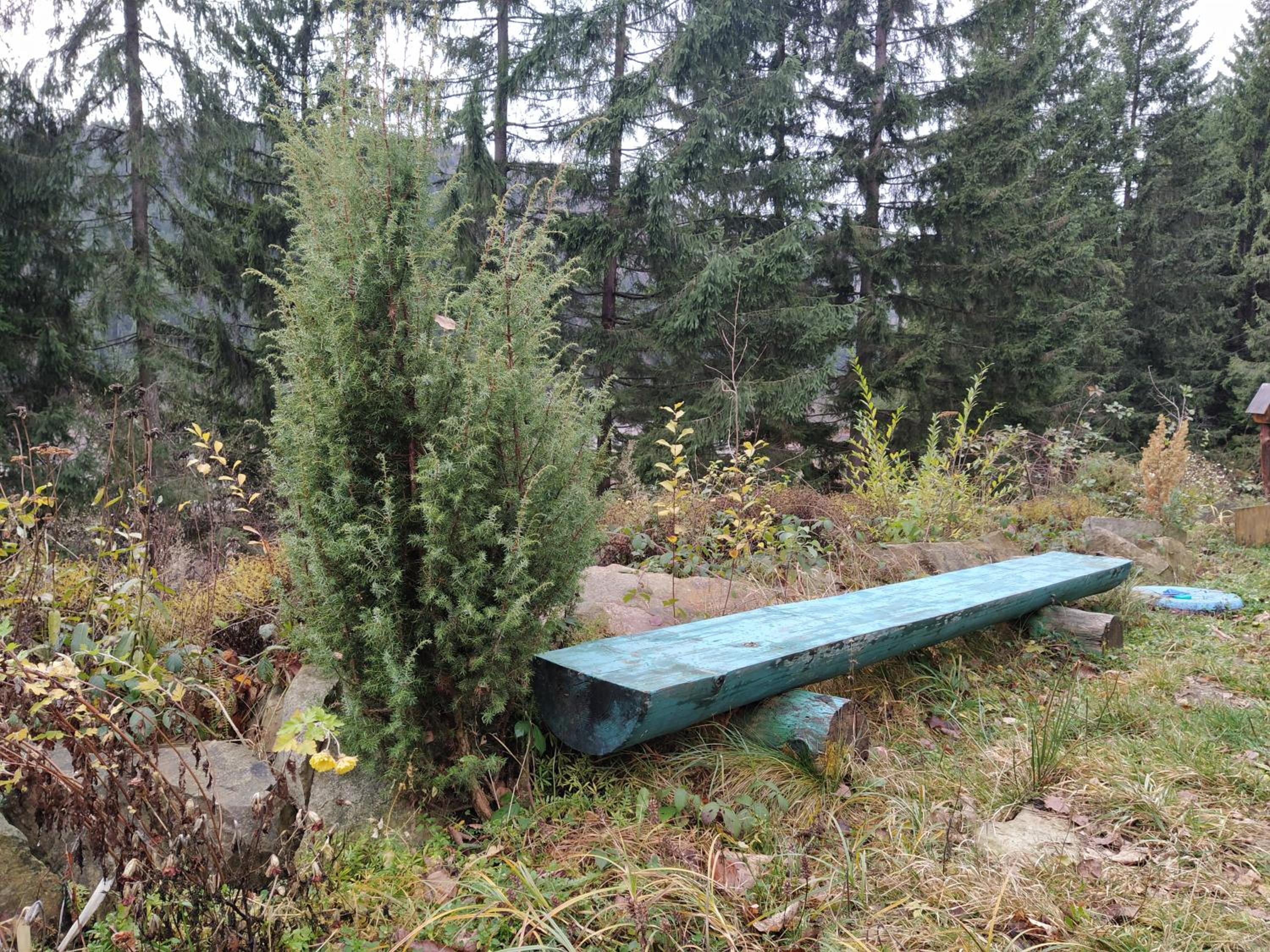 Photo 23