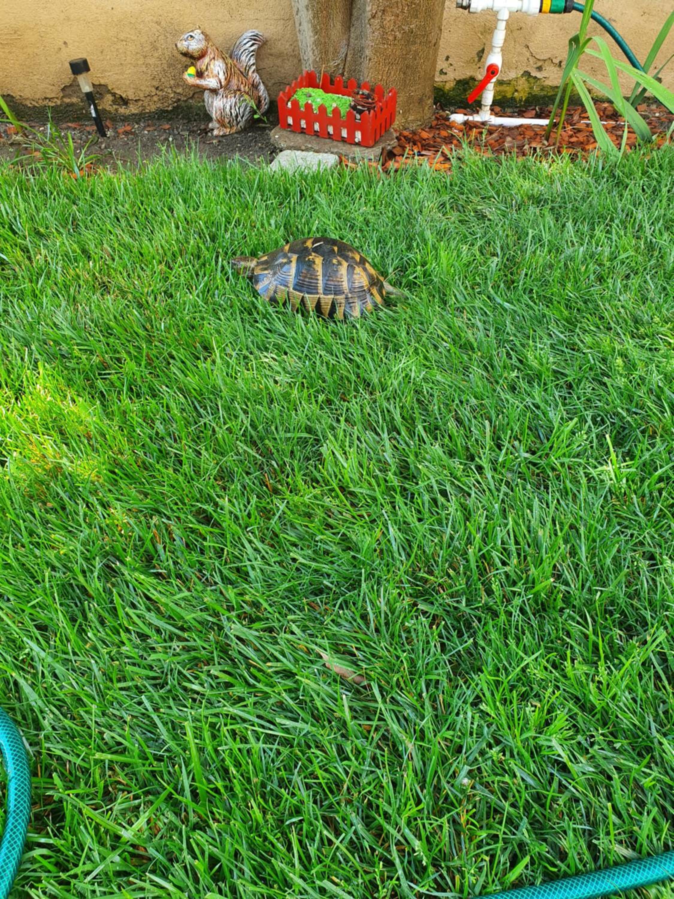 YANNIS GUEST HOUSE view 2
