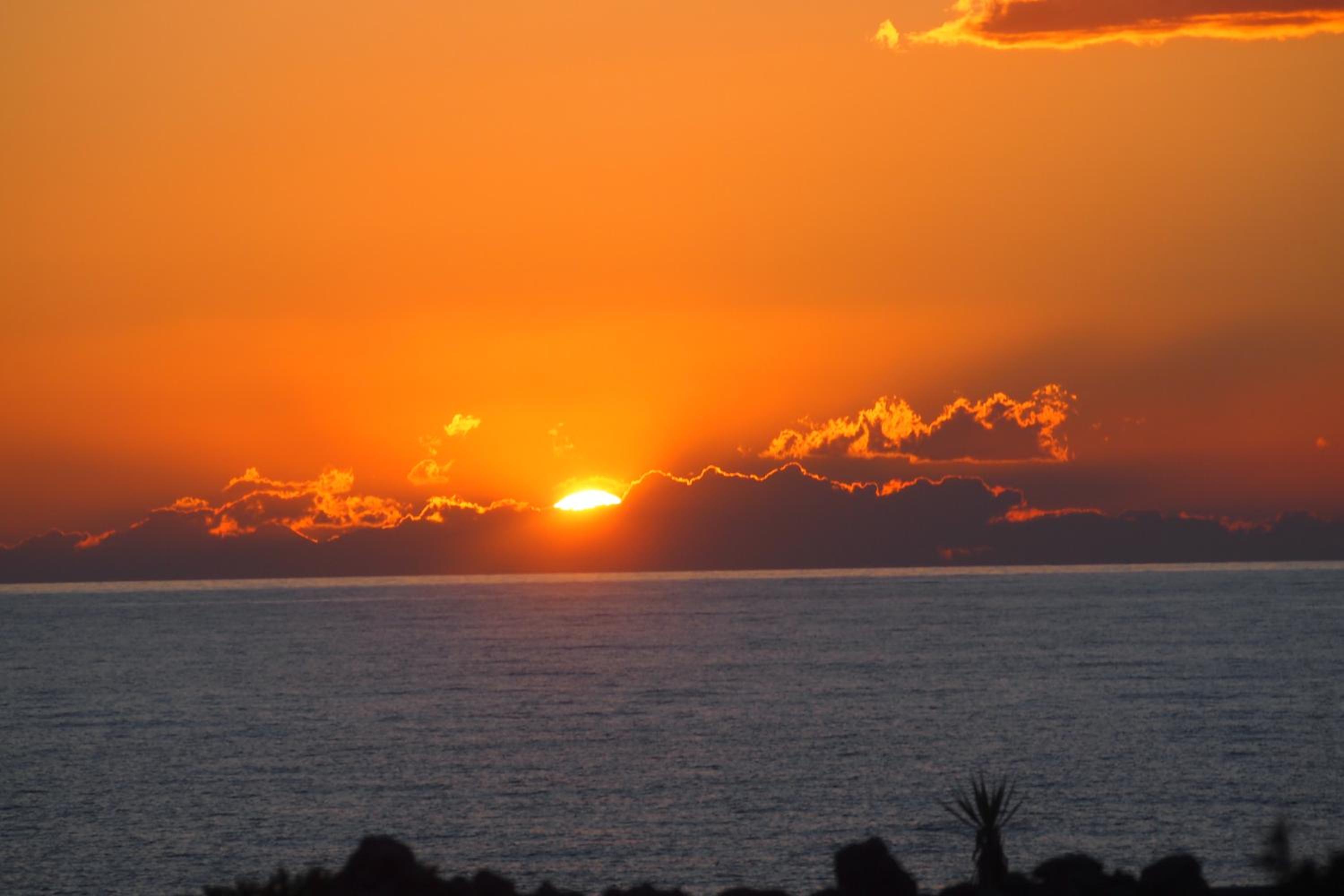 La Maison Blue a 100 mt dal mare - holiday2pet,com -