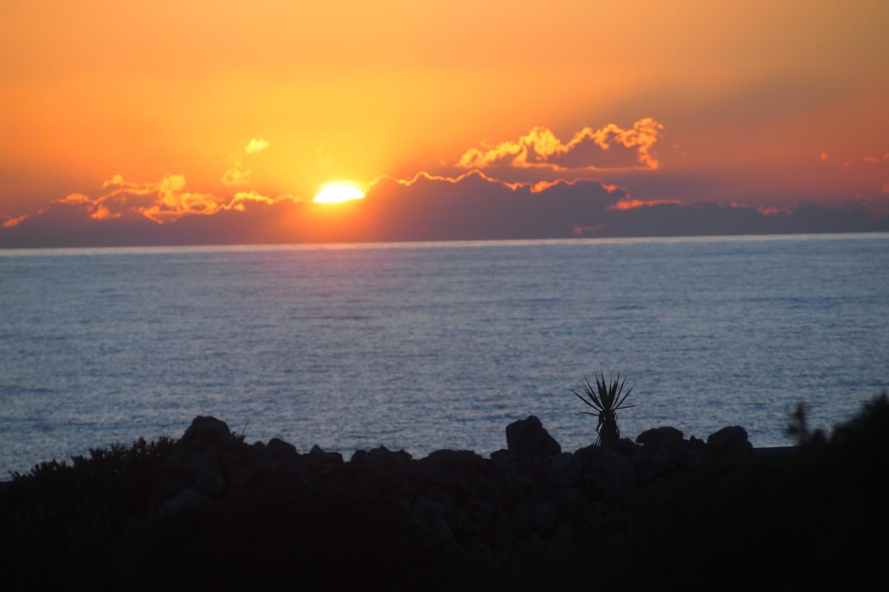 La Maison Blue a 100 mt dal mare - holiday2pet,com -