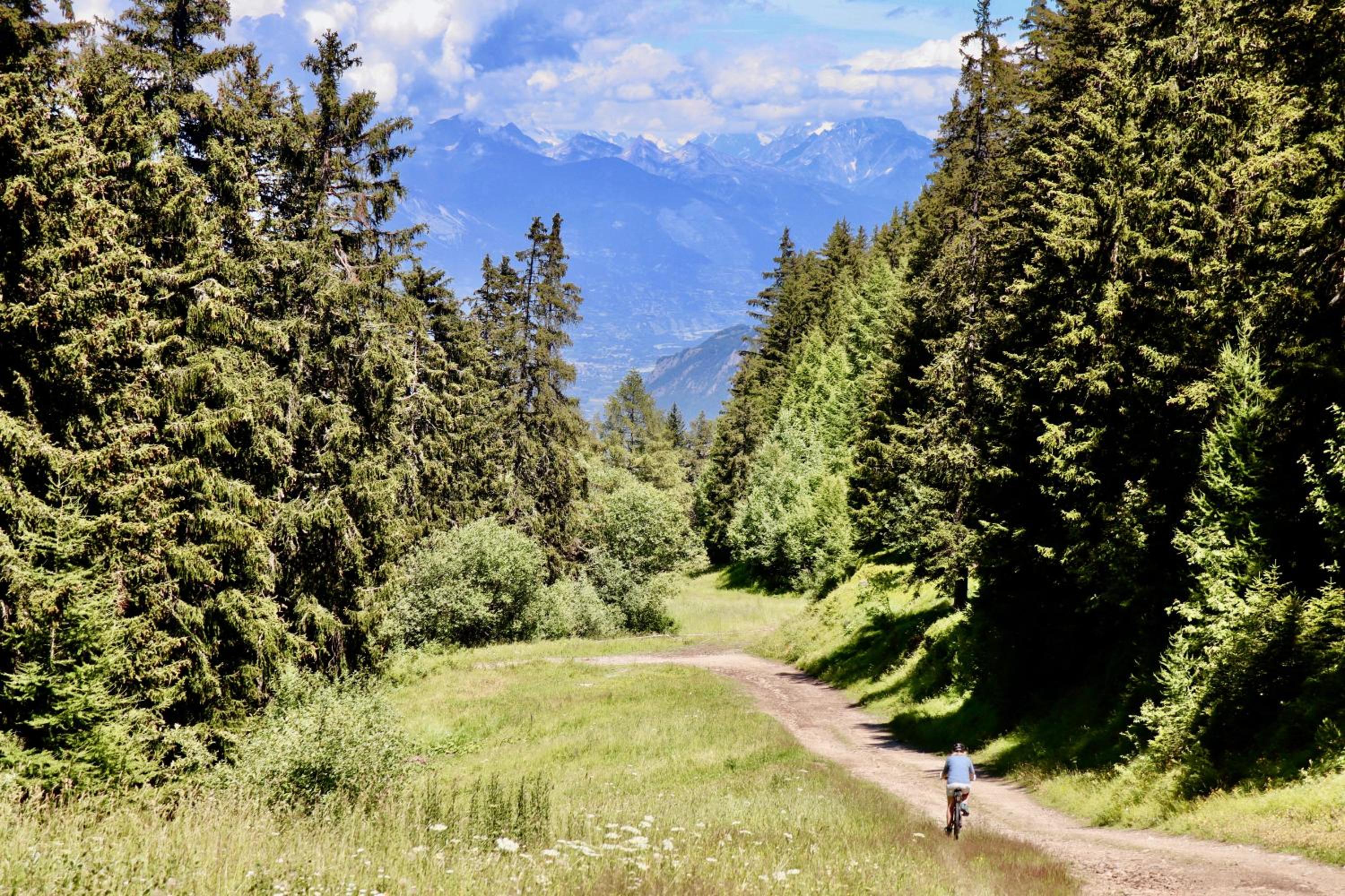 Le Cret Haute Nendaz