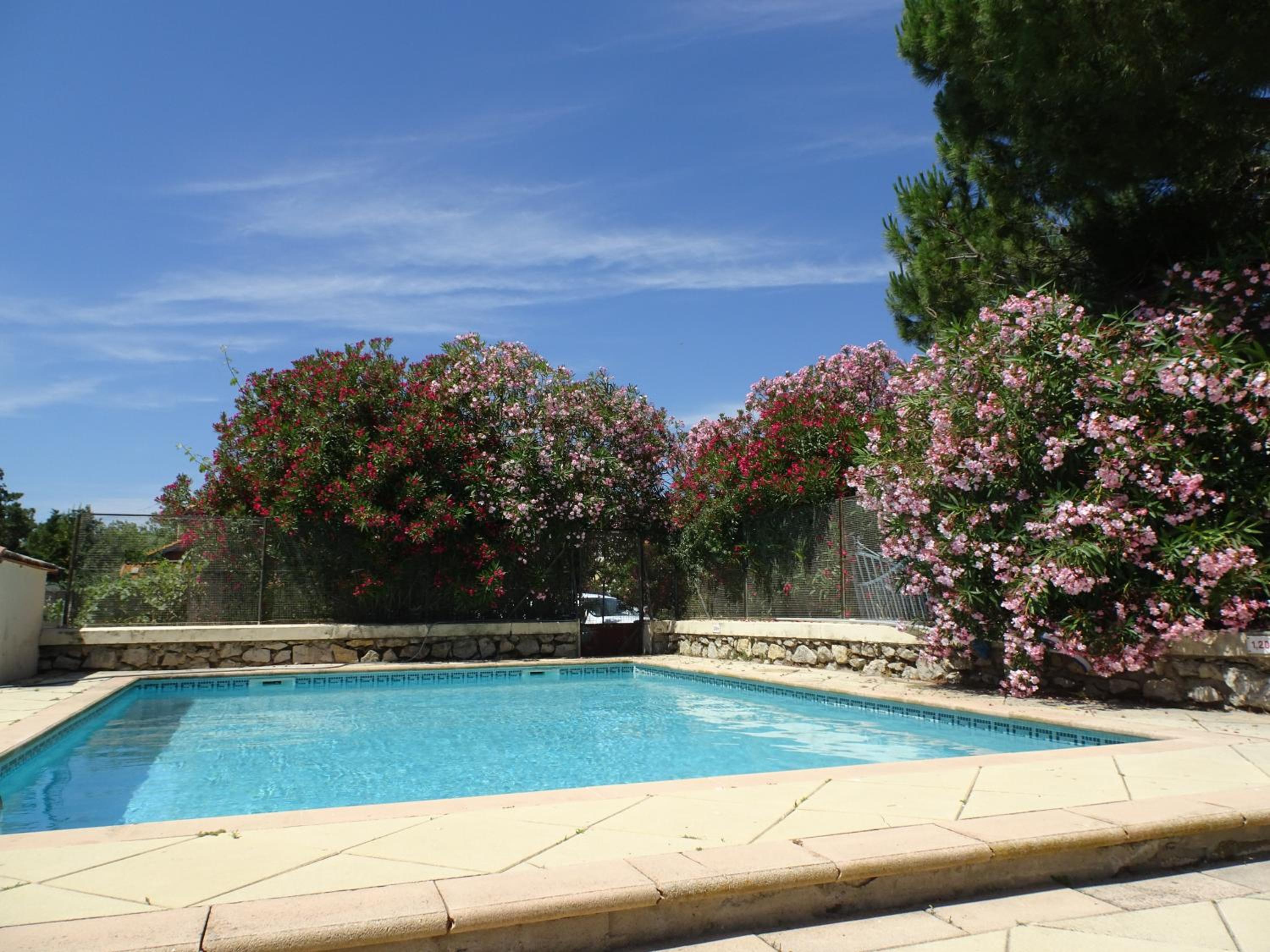 Domaine du Petit Tournebelle view 3