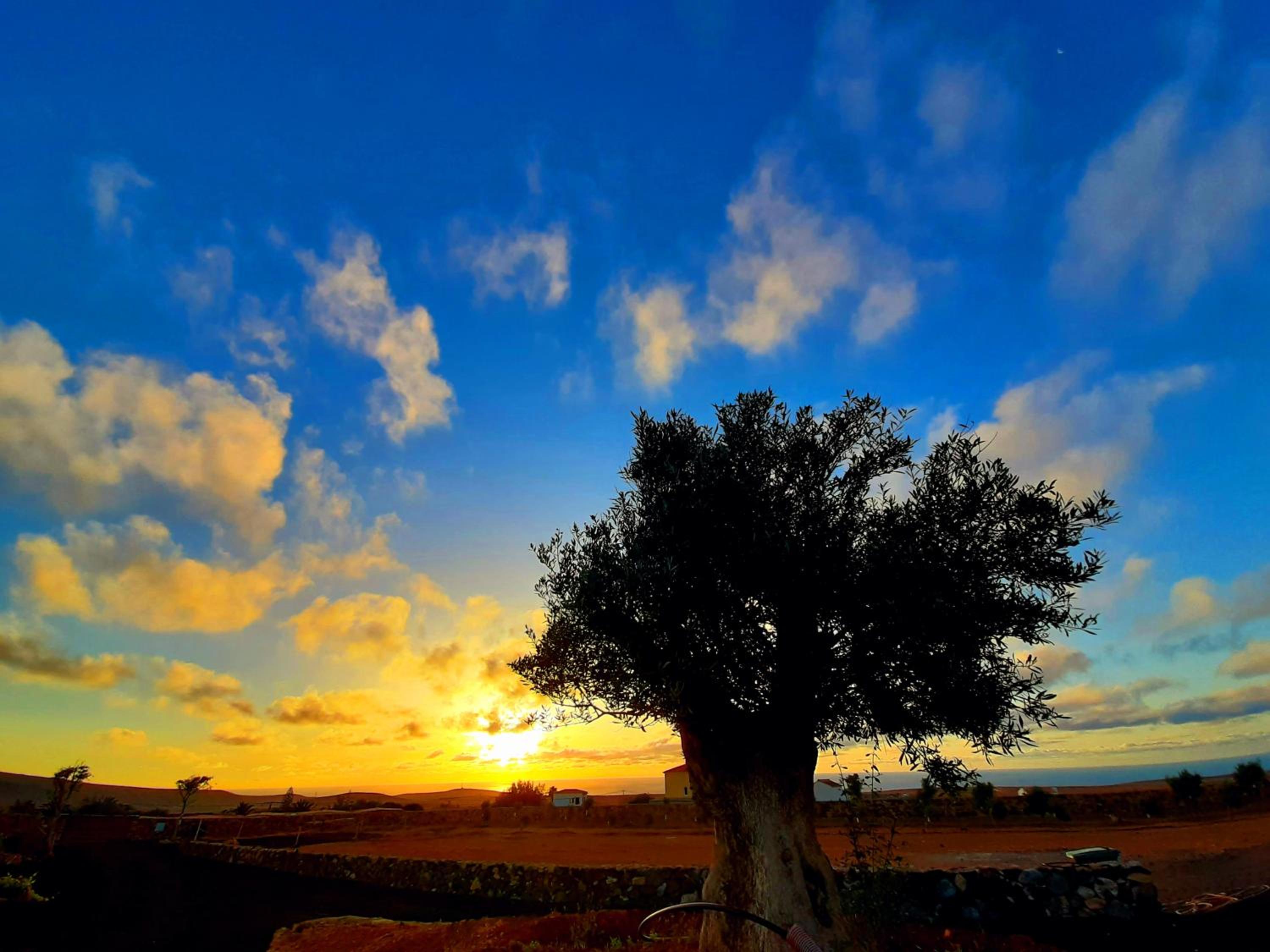 Agriturismo El Bounty view 5