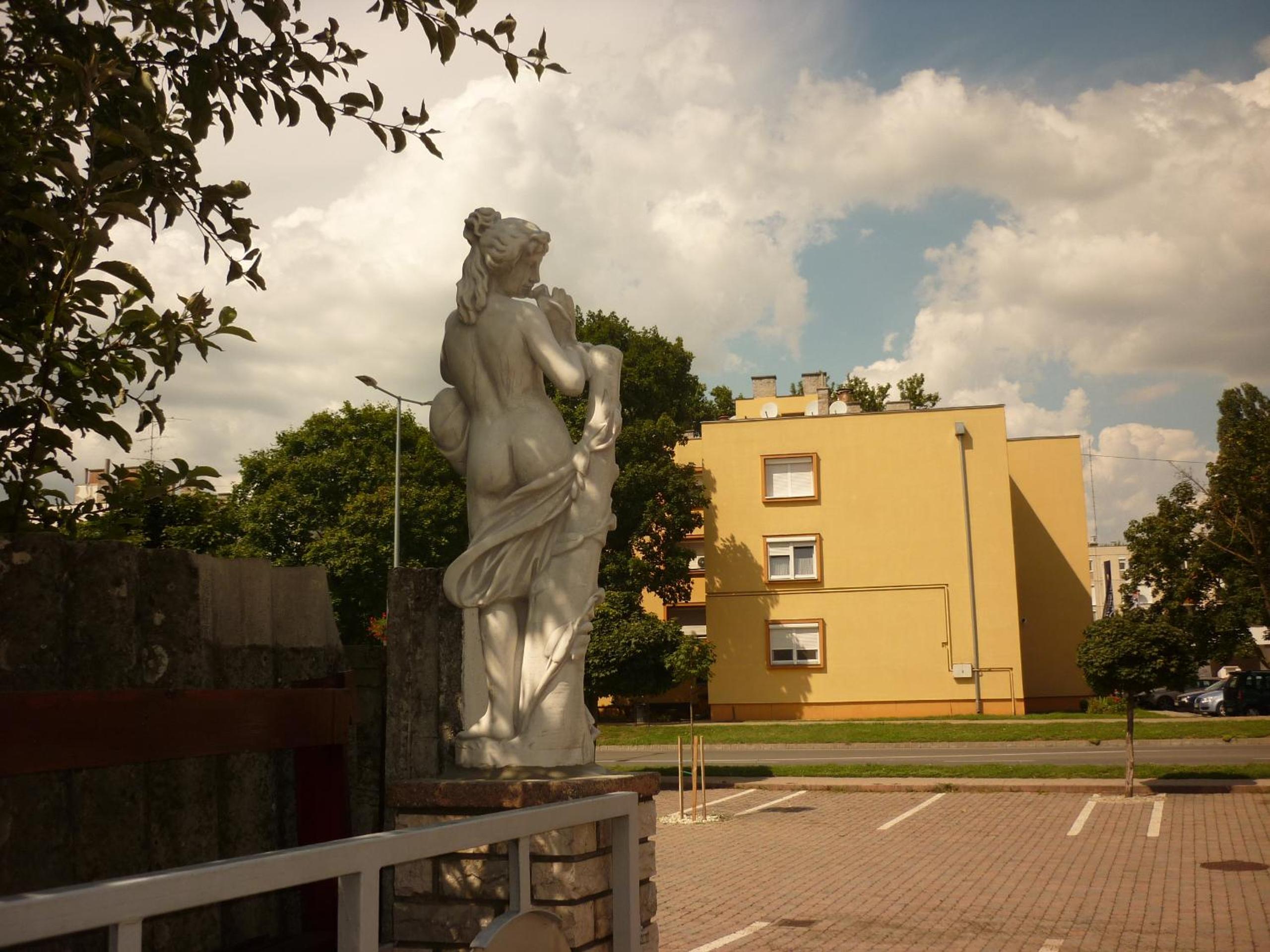 Photo 61