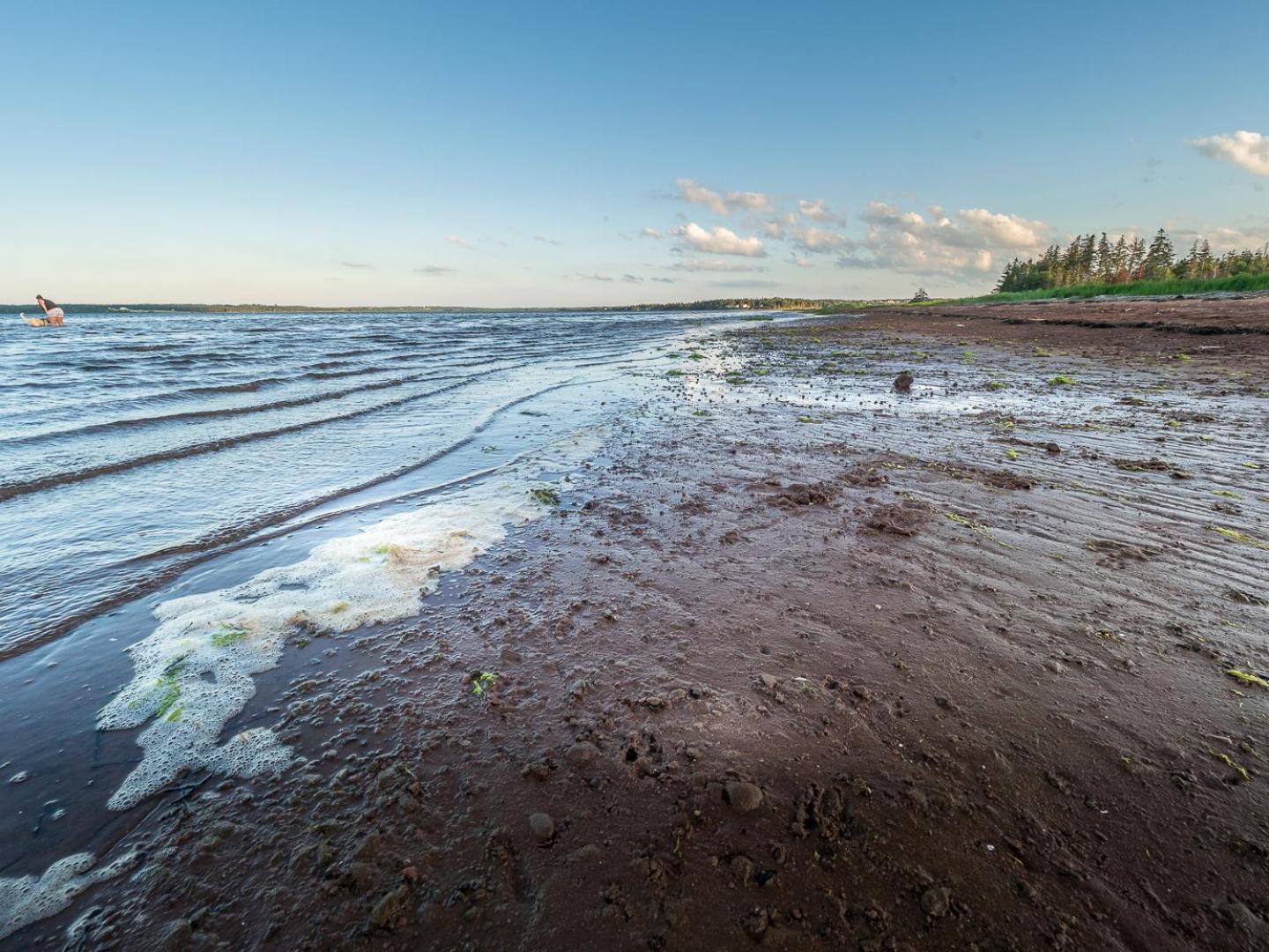 Tracadie Cottages