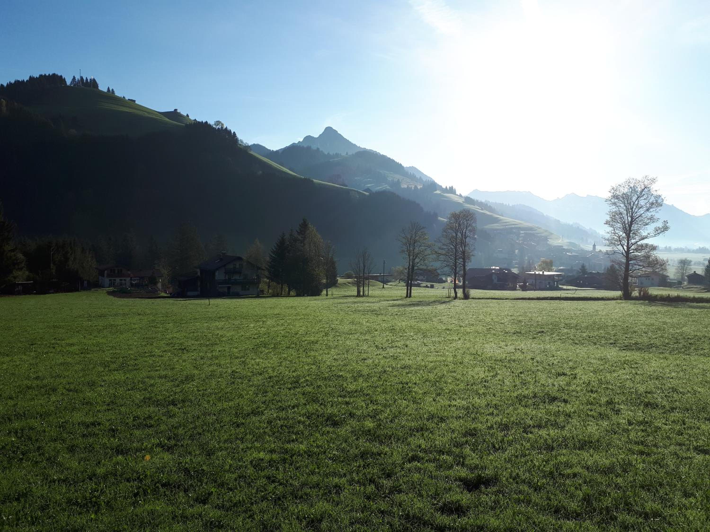 Gästehaus Koch view 5