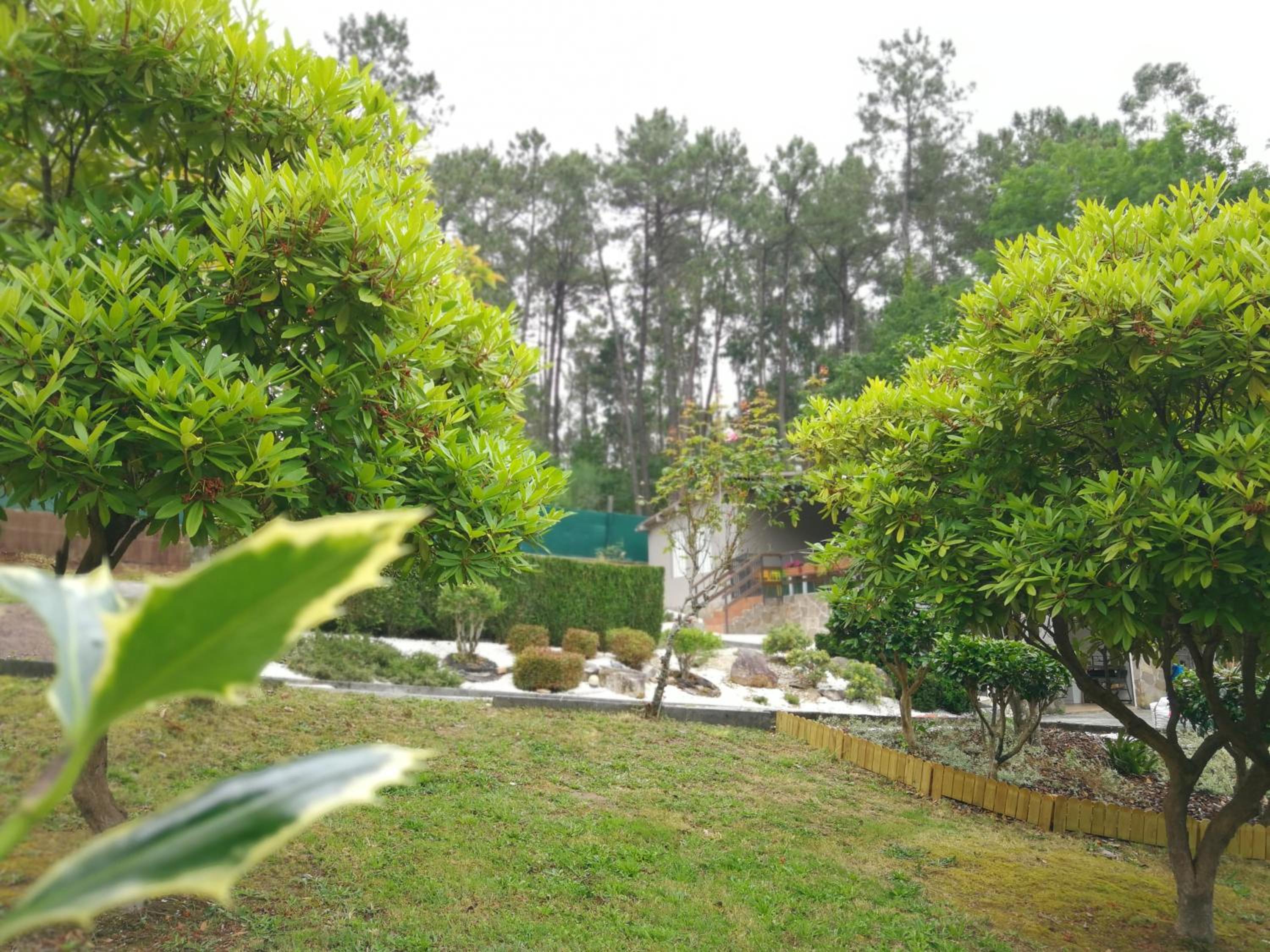 casa Francelos view 4
