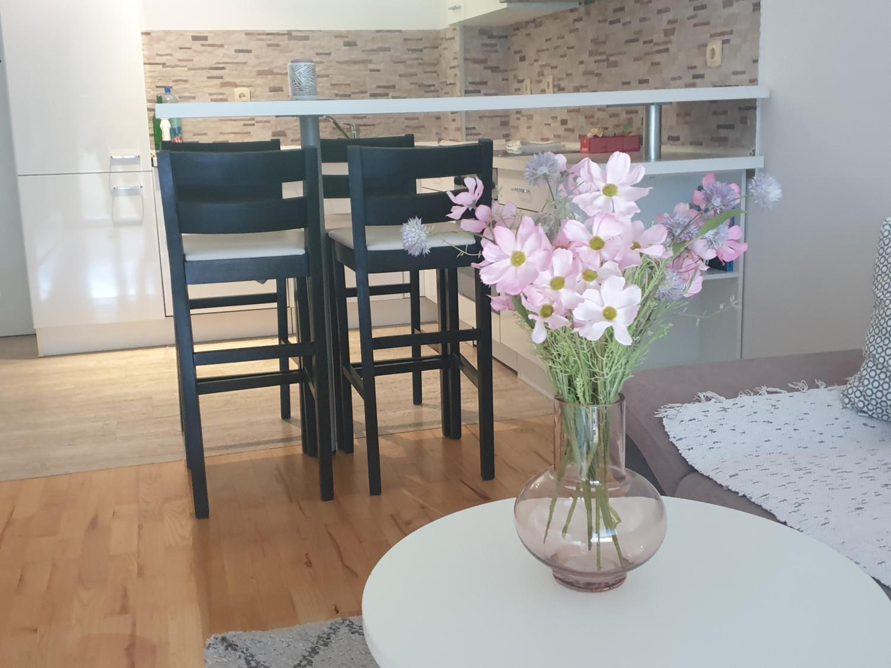Apartman Srna