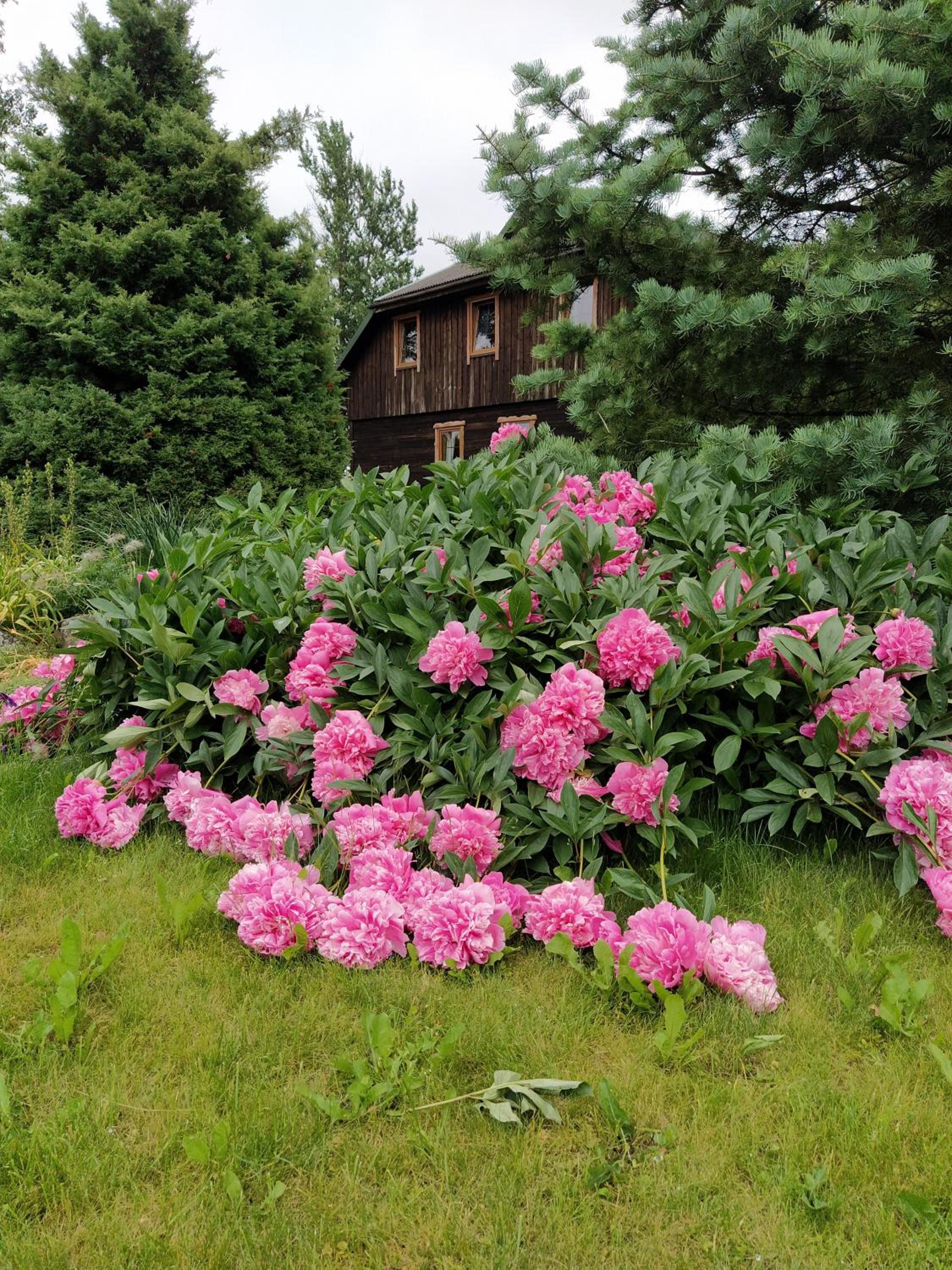 Photo 46