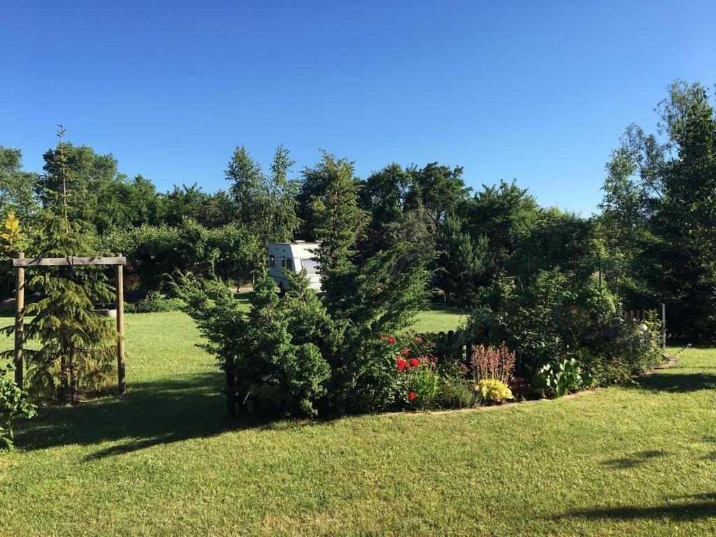Photo 41