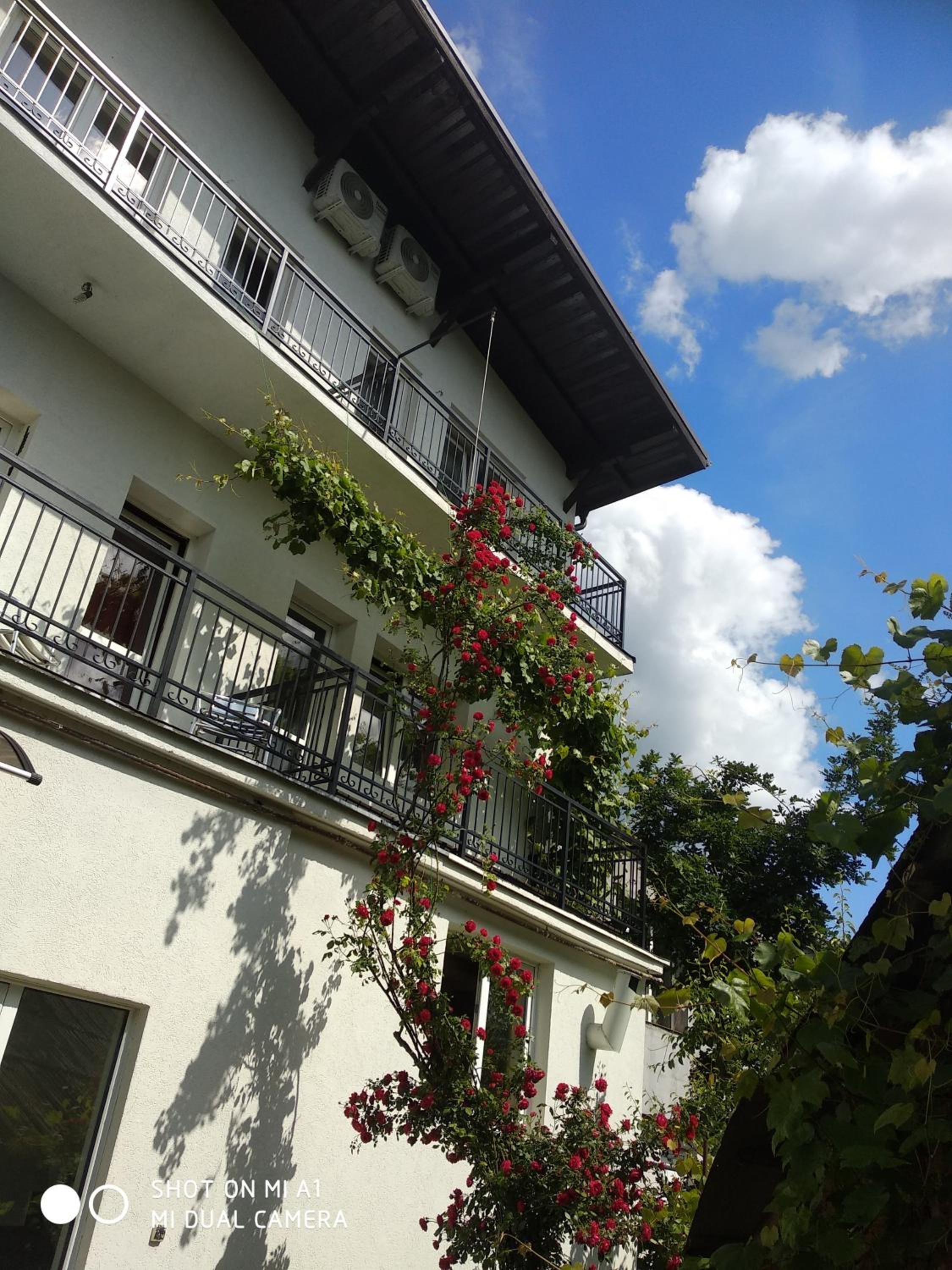 Casa Romaneasca, photo 33