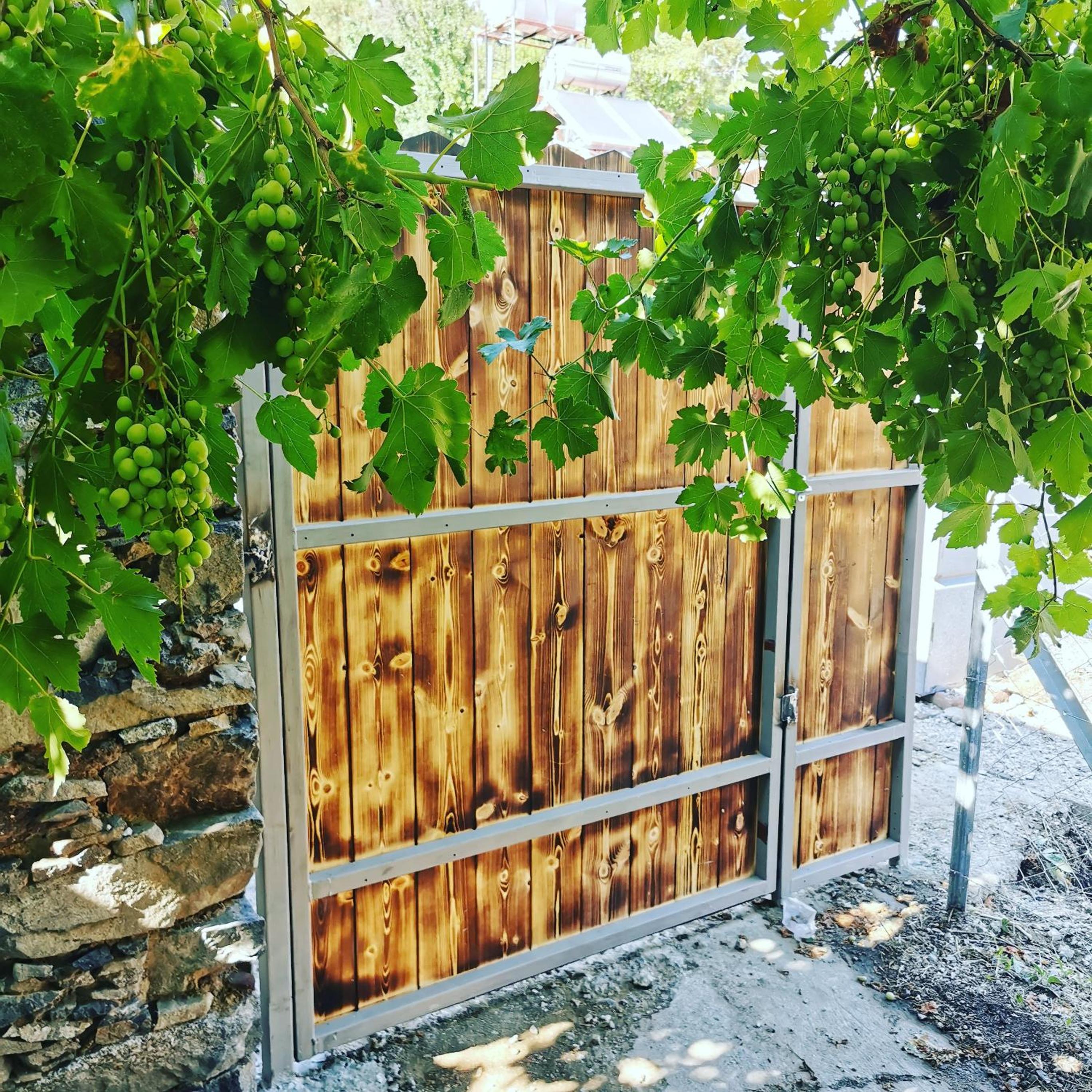 Holiday House Prodromos