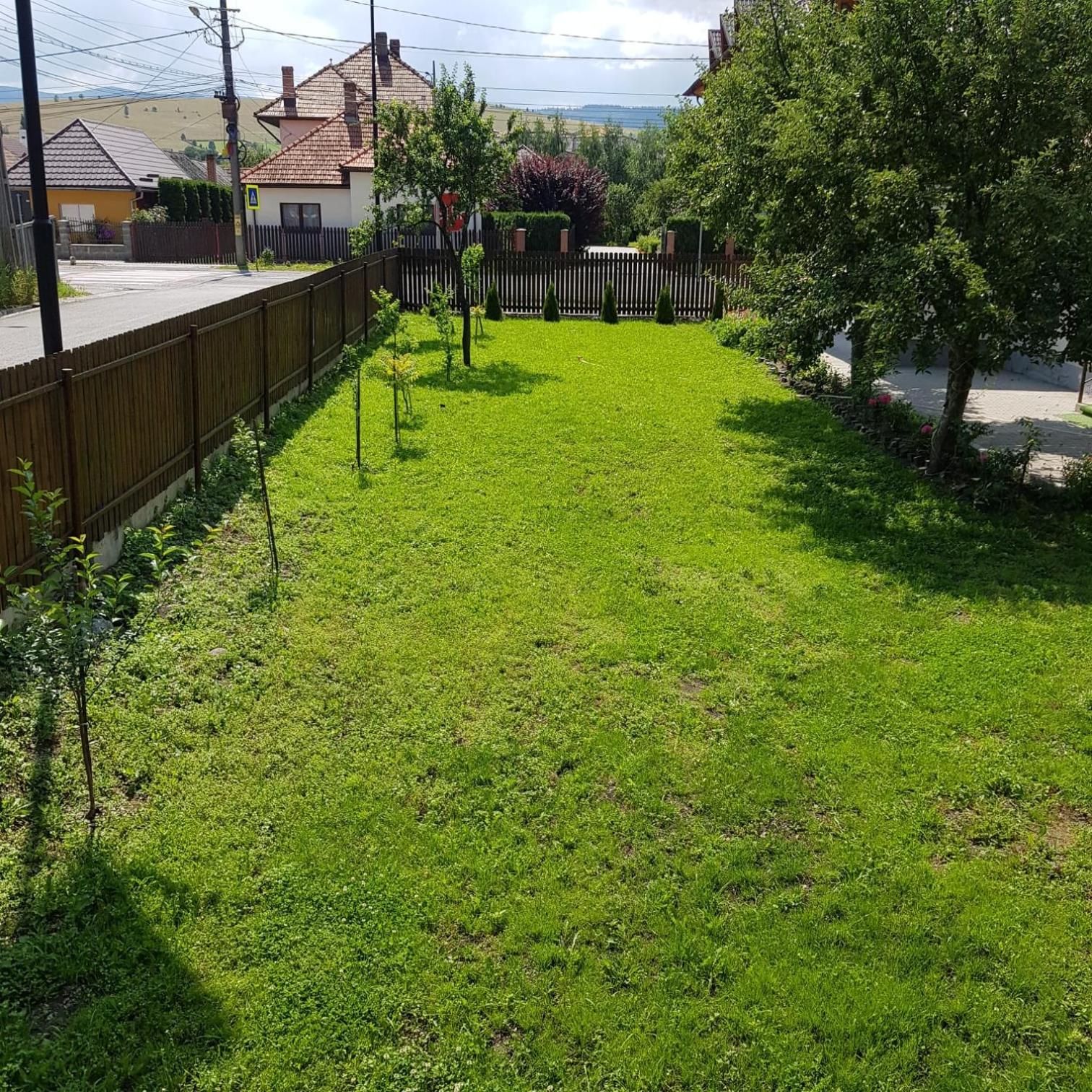 Photo 36