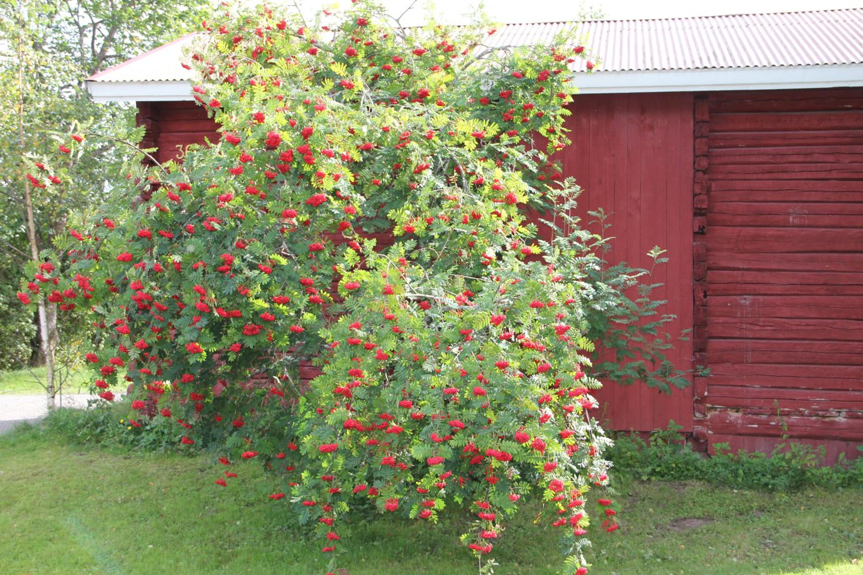 Photo 14