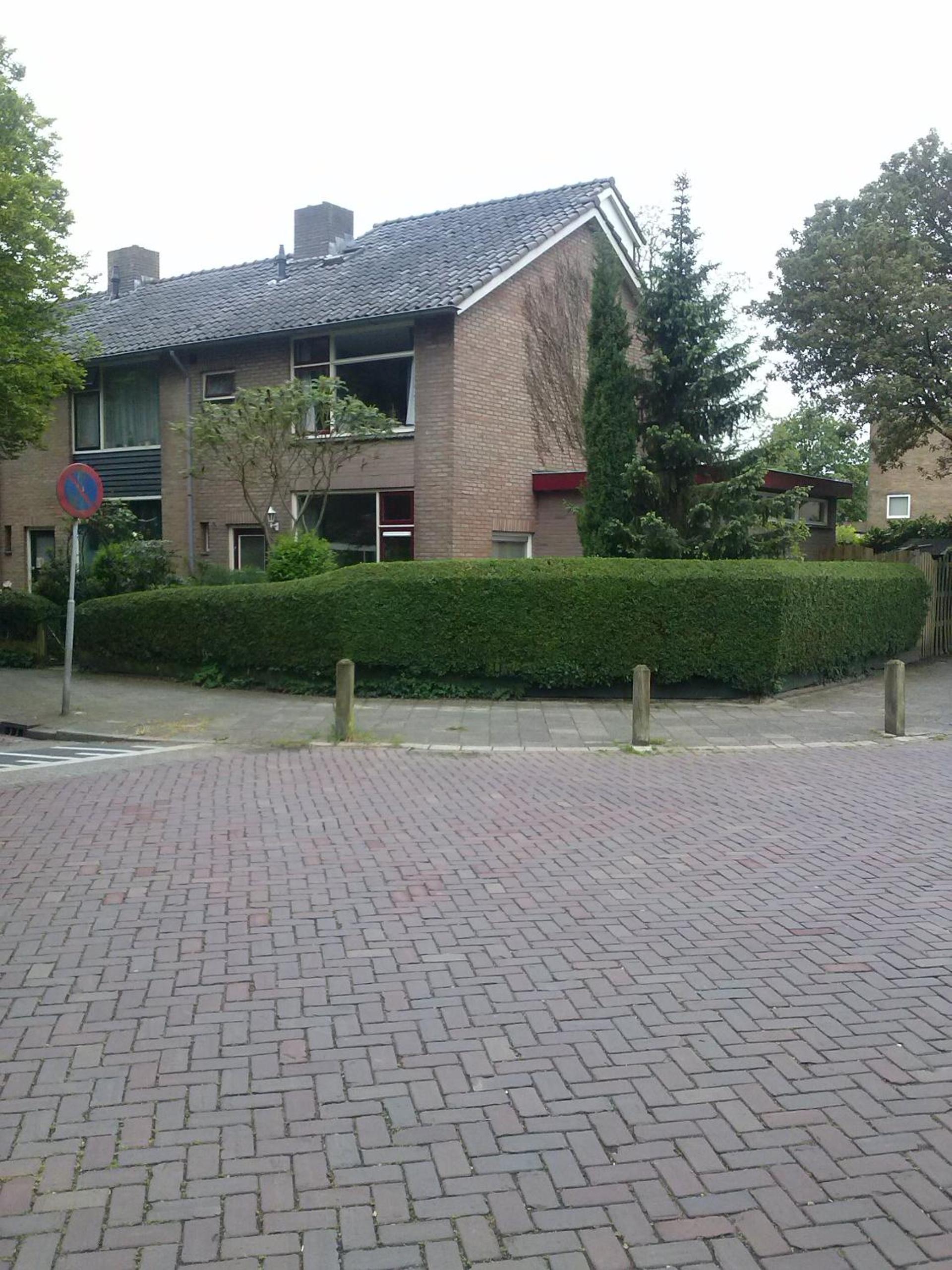 Photo 6