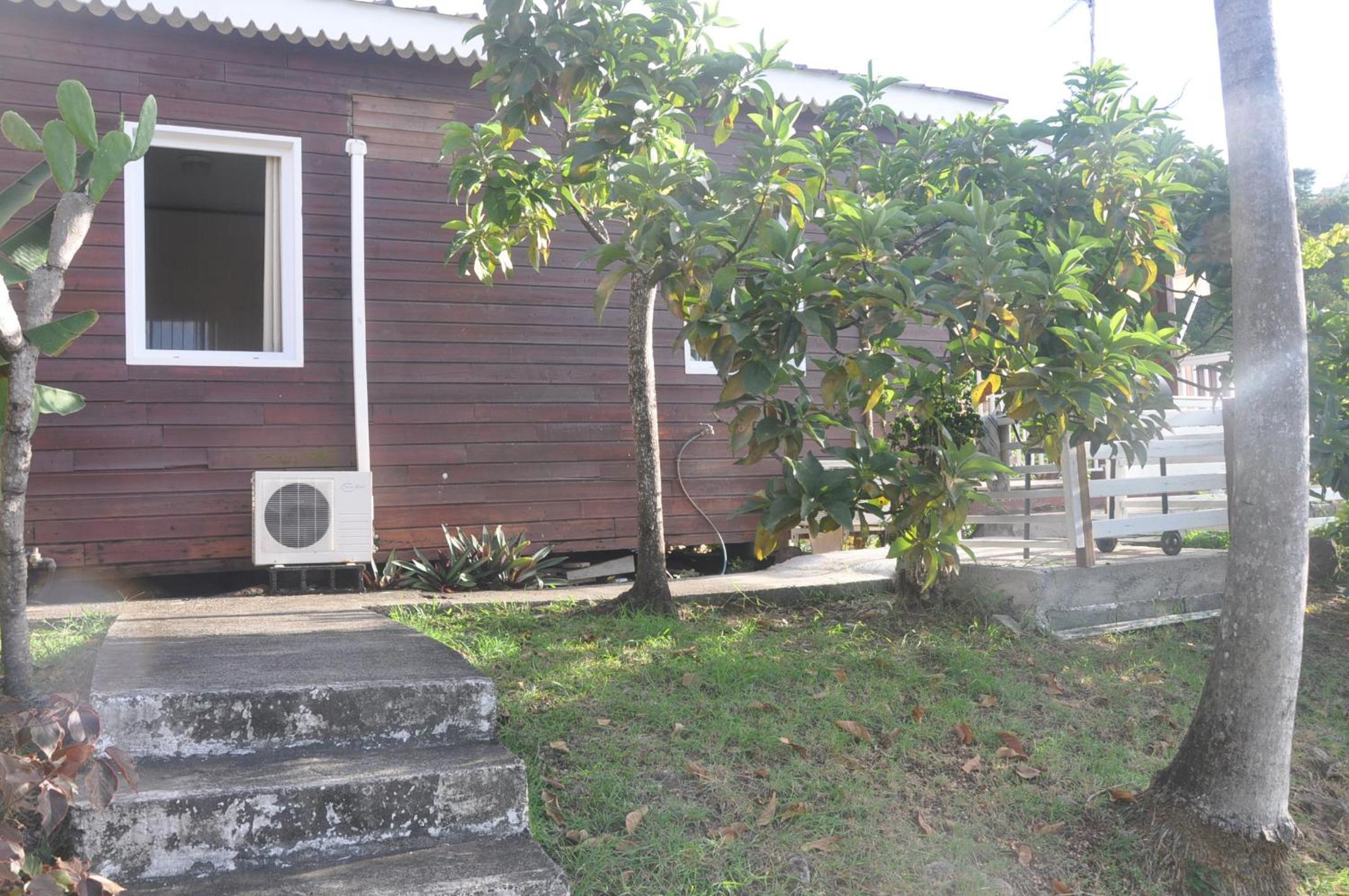 Photo 46