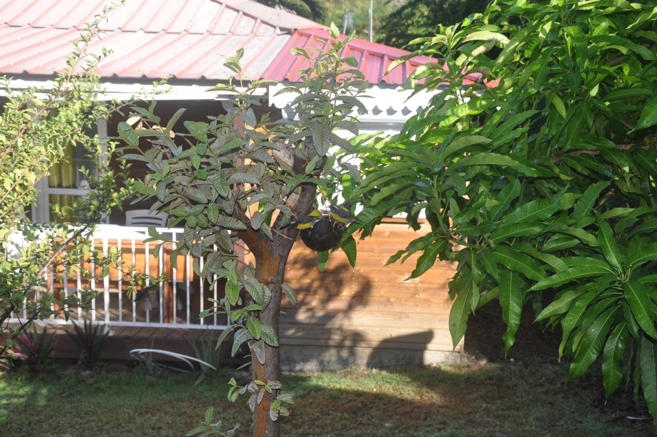 Photo 40