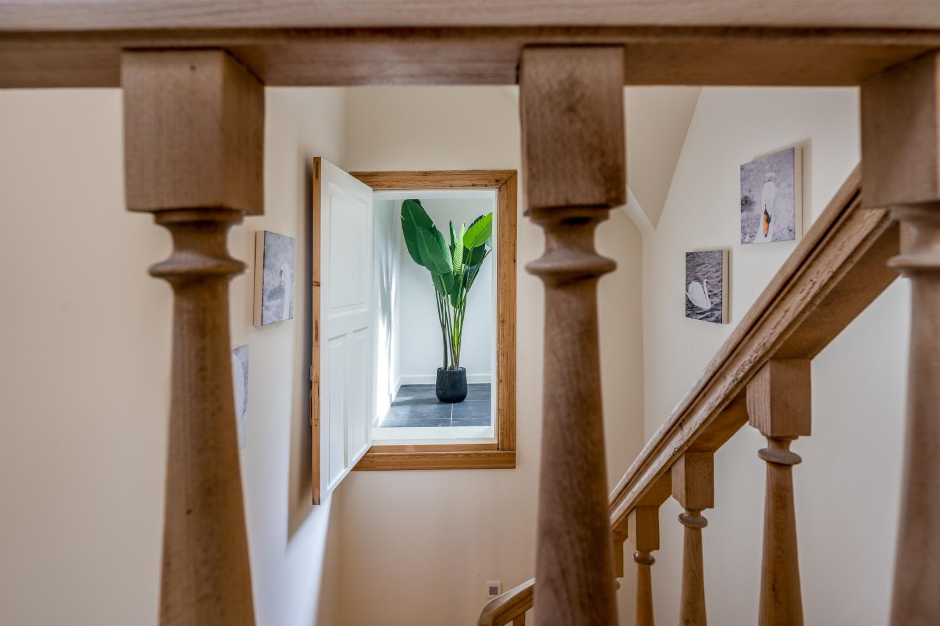 Maison Chartreuse