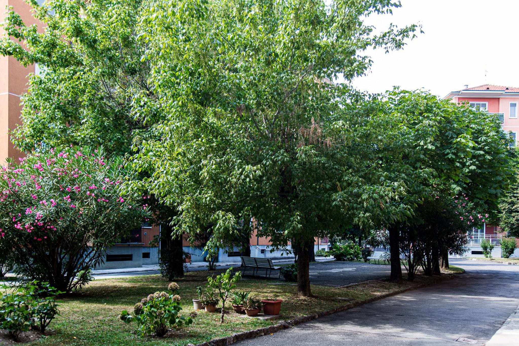 Lorenteggio 209