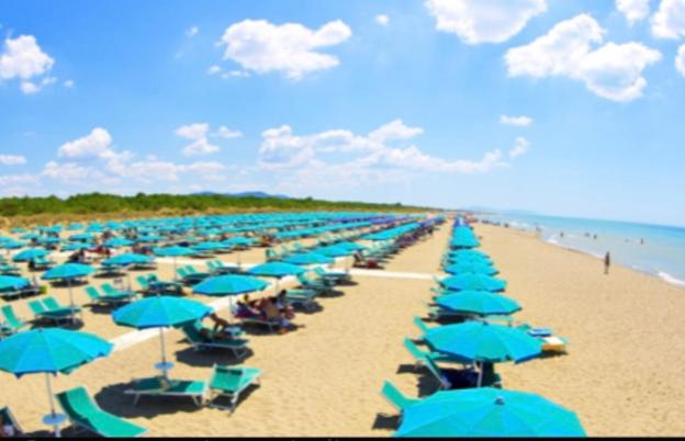 Marina Apartments photo 5