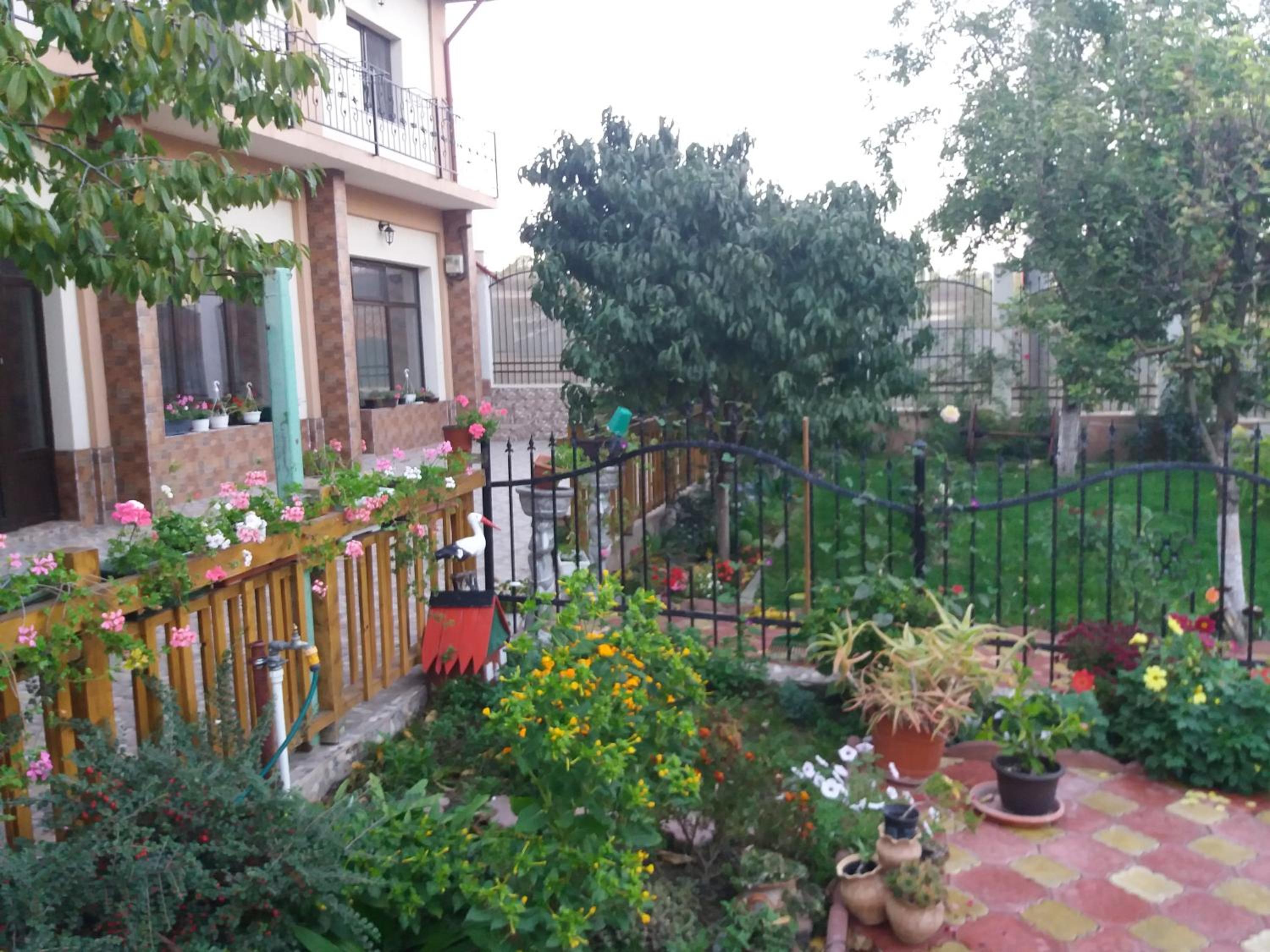 PENSIUNEA CIREȘUL ALB view 3