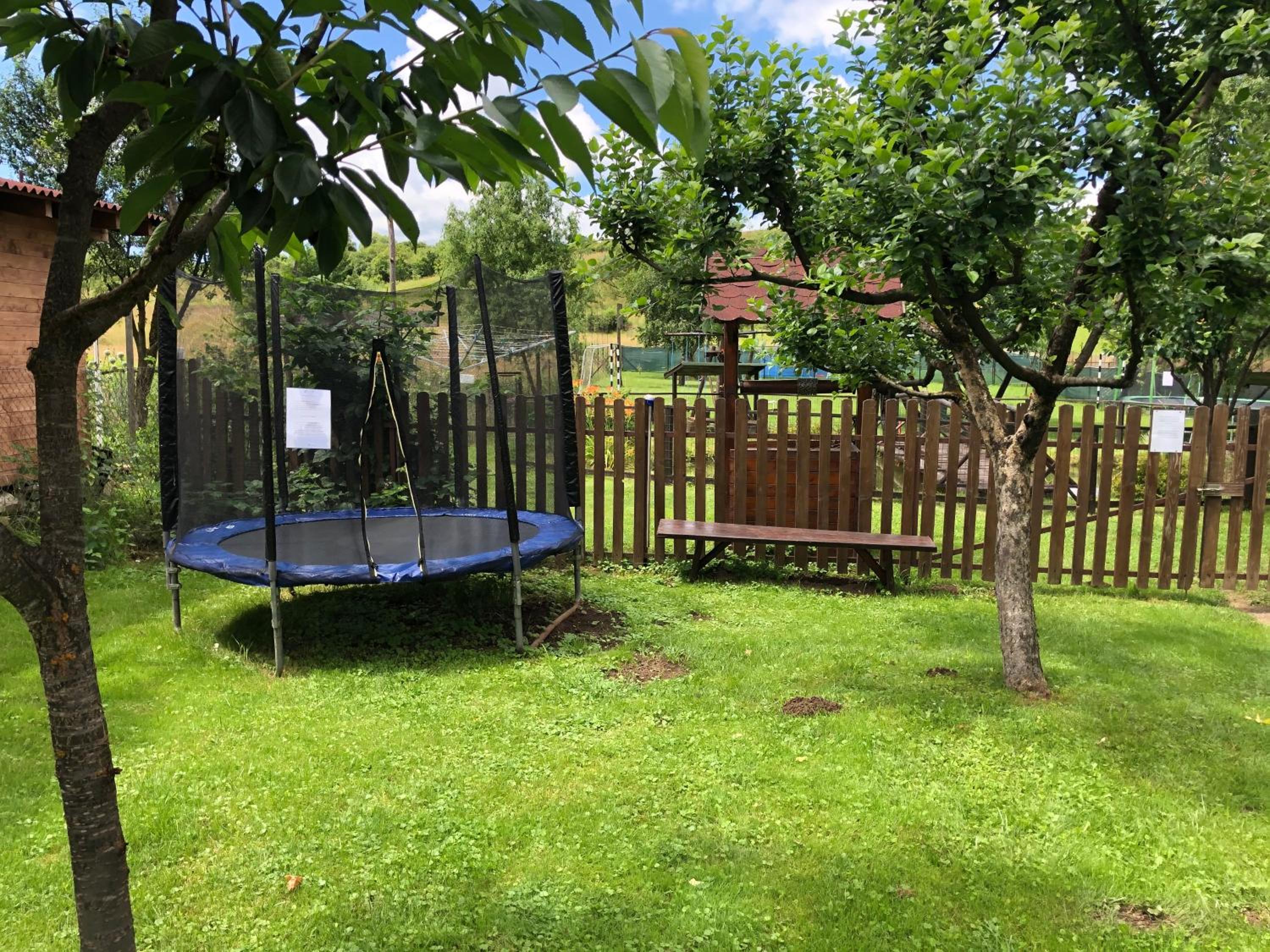 Photo 16