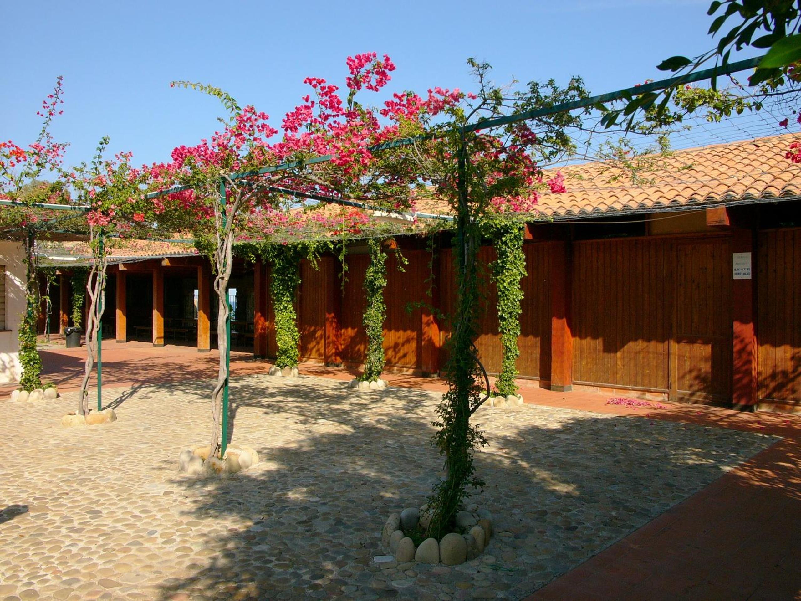 Photo 23