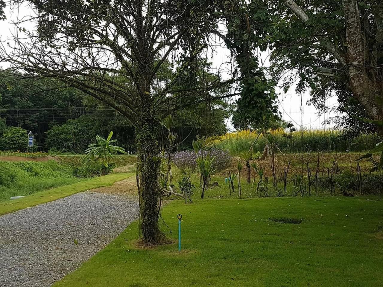 Tho Mai Resort